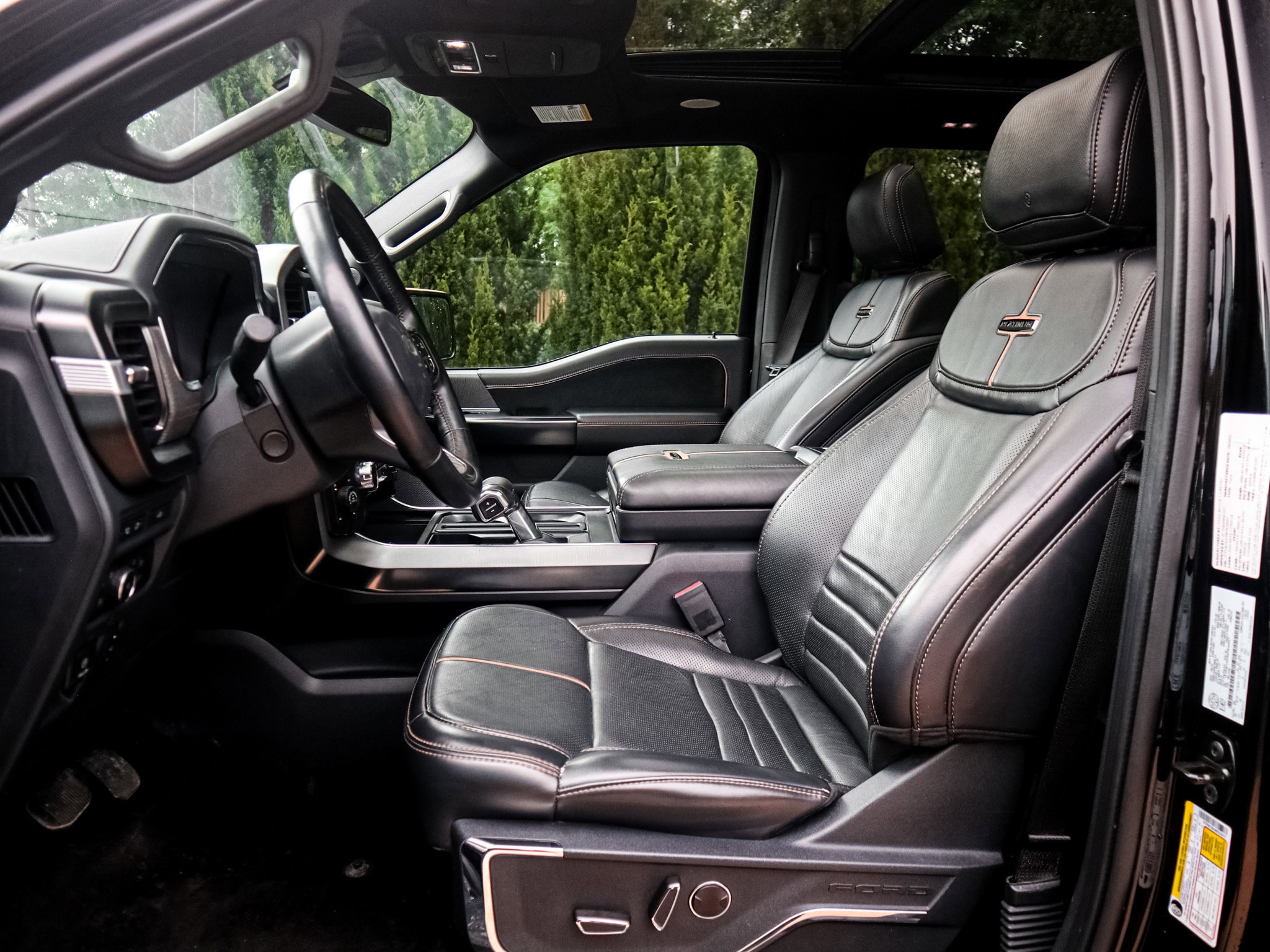 2022 Ford F-150 Platinum photo 6