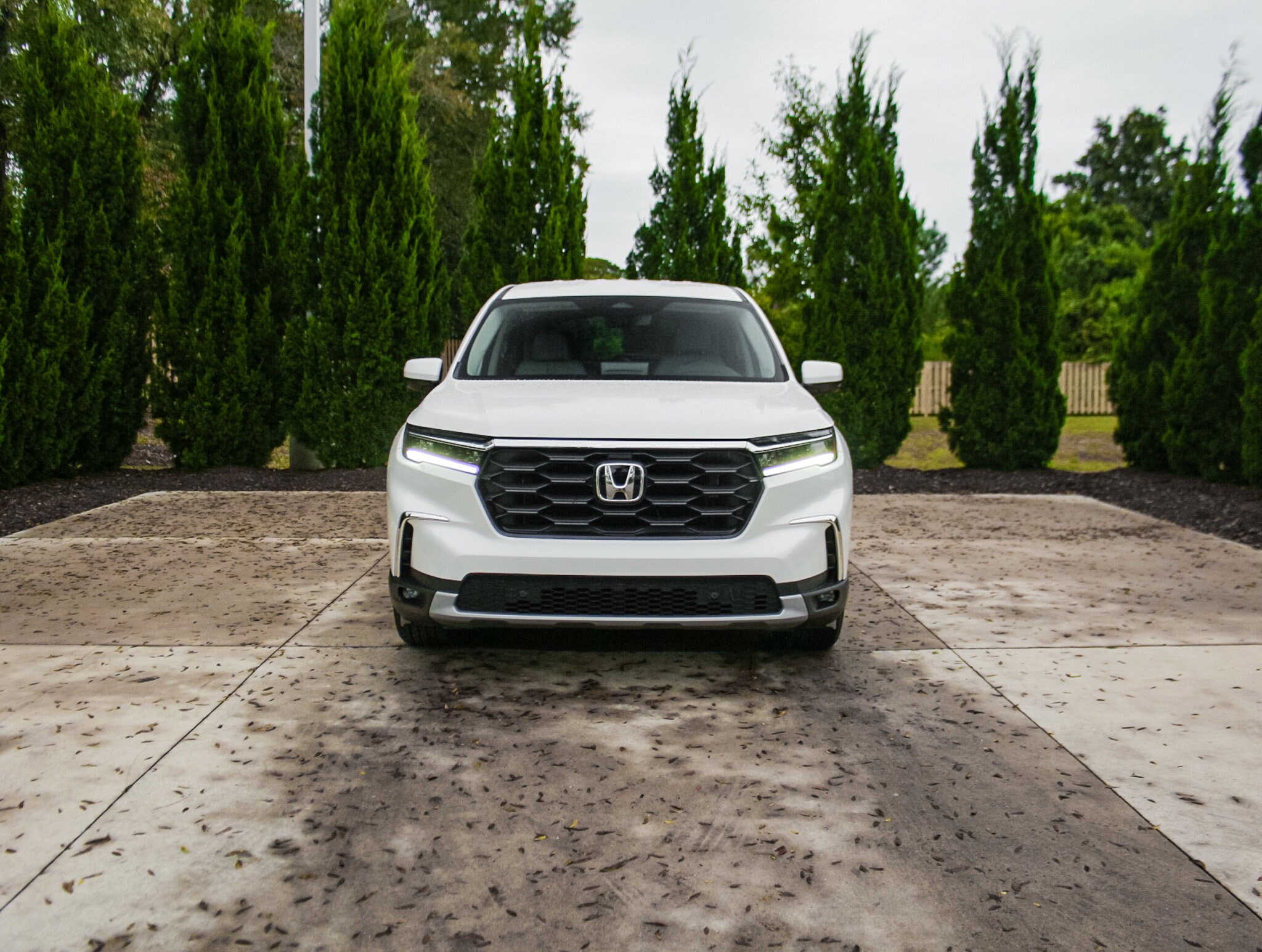 2025 Honda Pilot EX-L photo 2