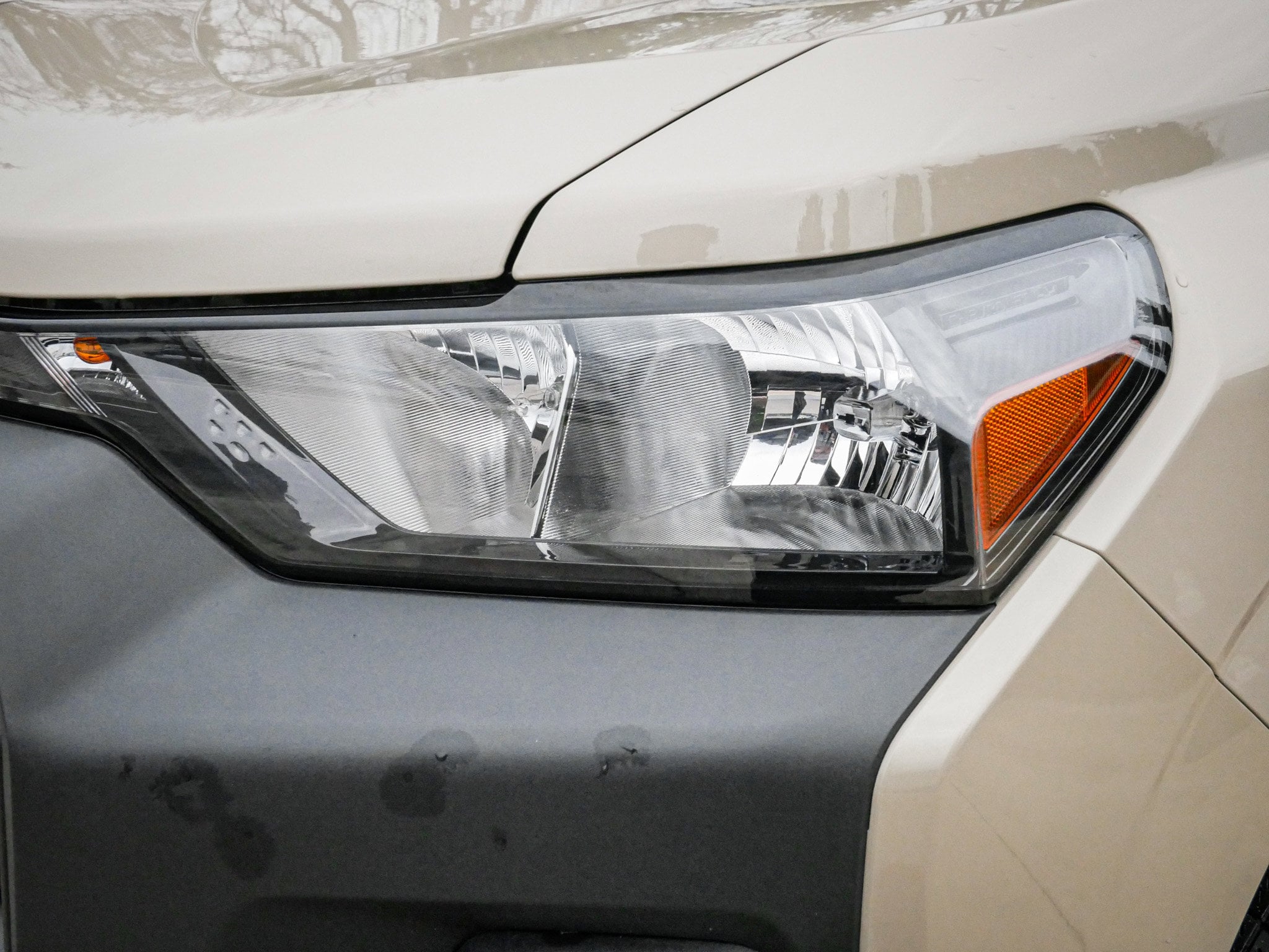 2024 Chevrolet Colorado 2WD Work Truck photo 4