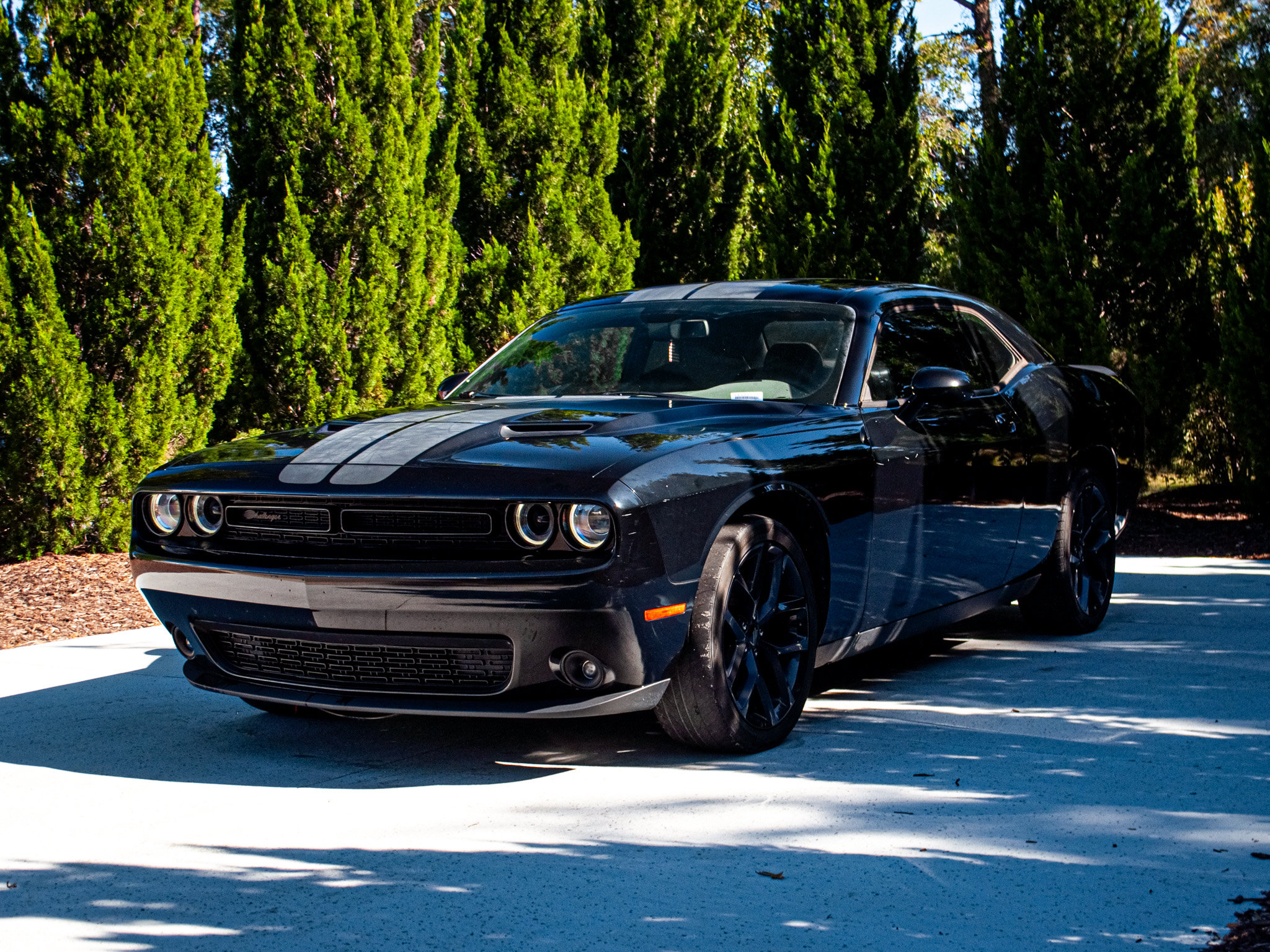 Used 2021 Dodge Challenger SXT Coupe