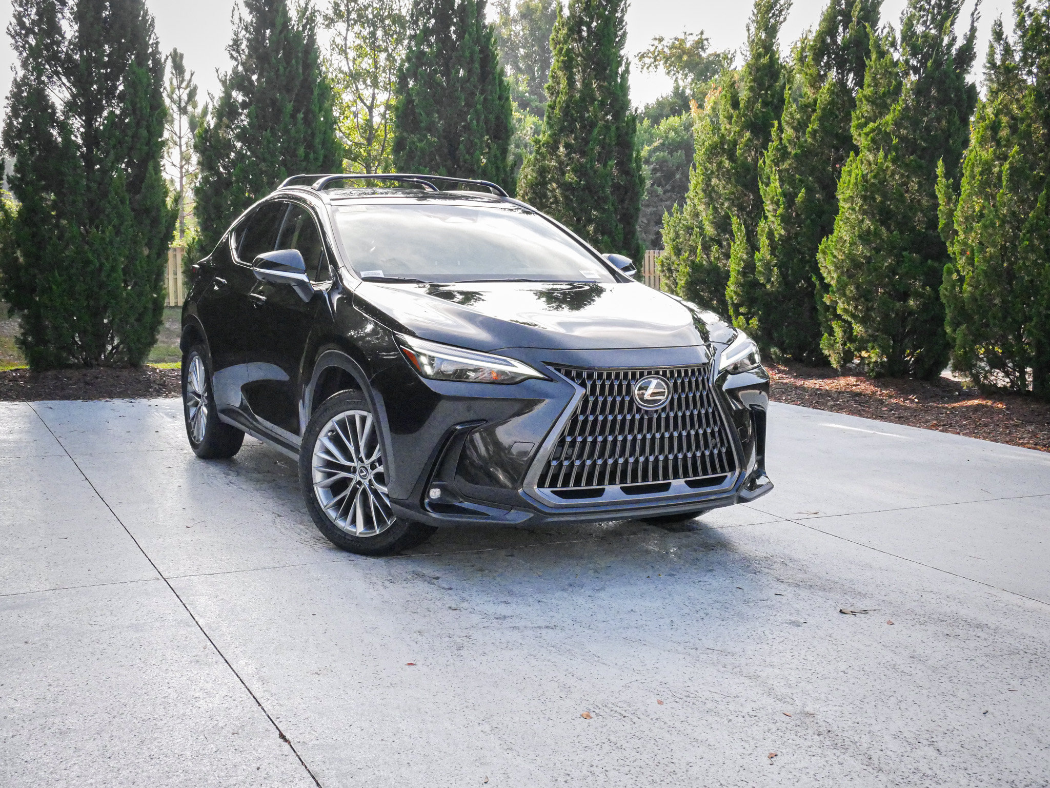 Used 2025 Lexus NX NX 350 Premium SUV