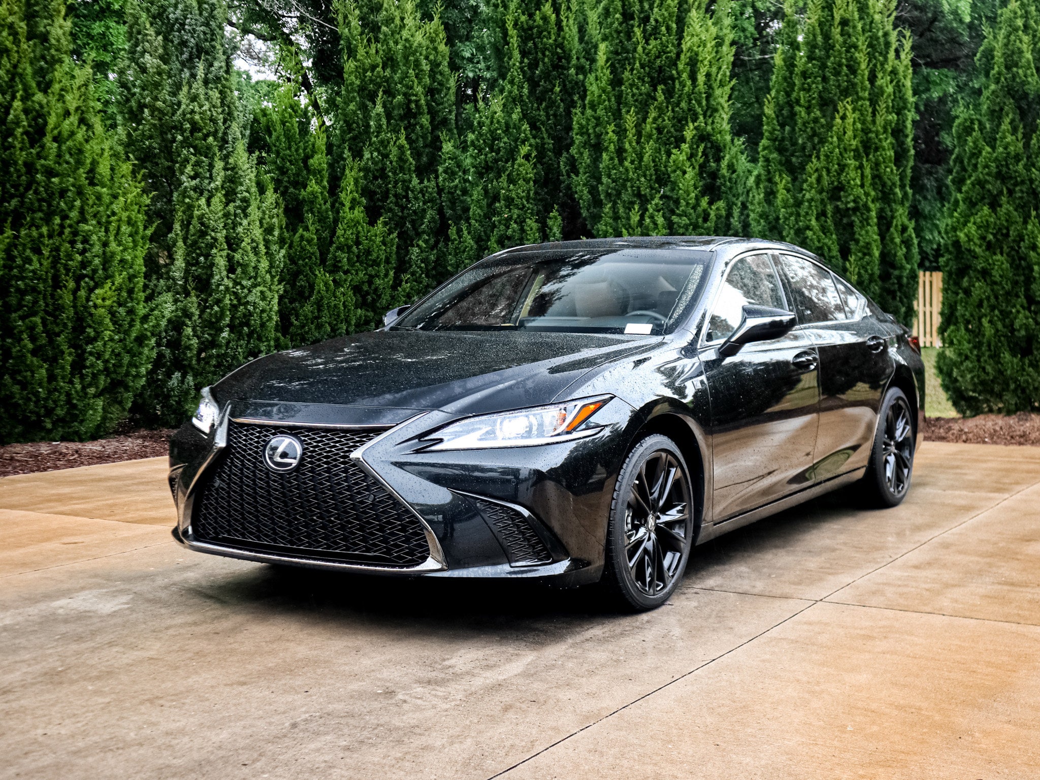 2025 LEXUS ES 300h photo 4
