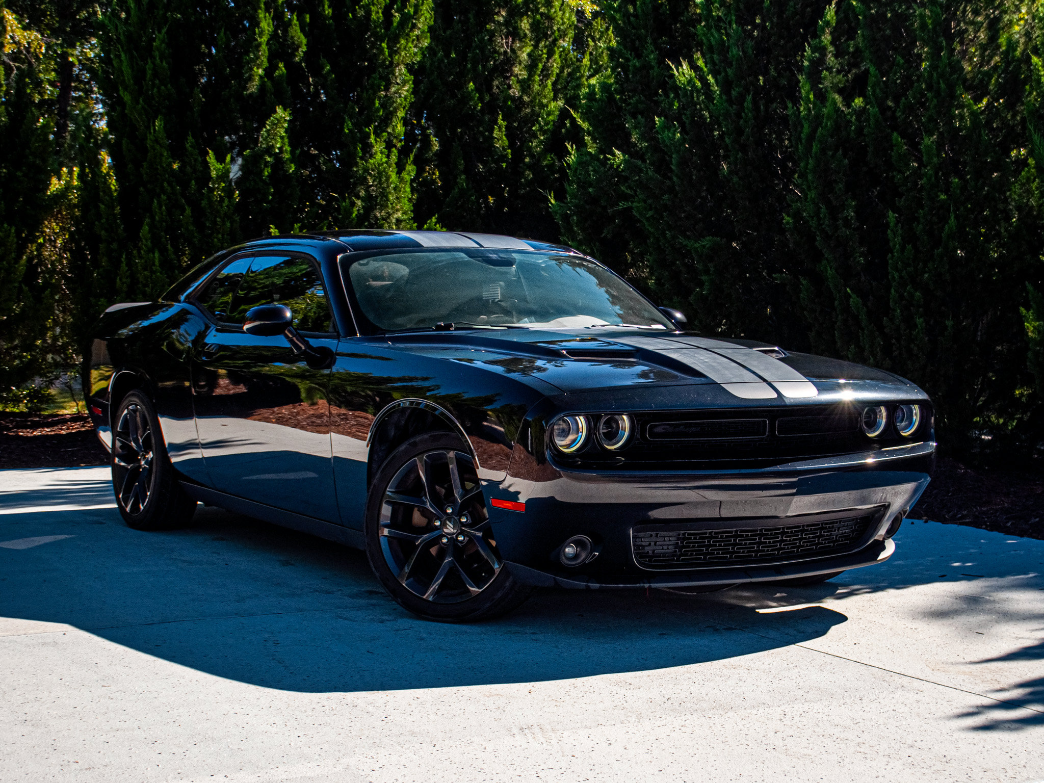 Used 2021 Dodge Challenger SXT Coupe