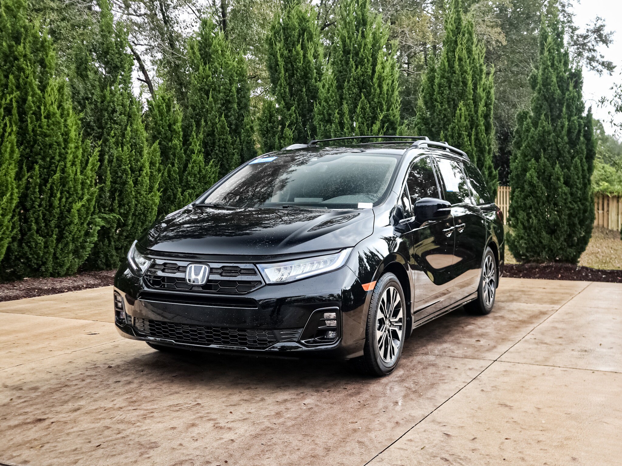 2026 Honda Odyssey Elite photo 3