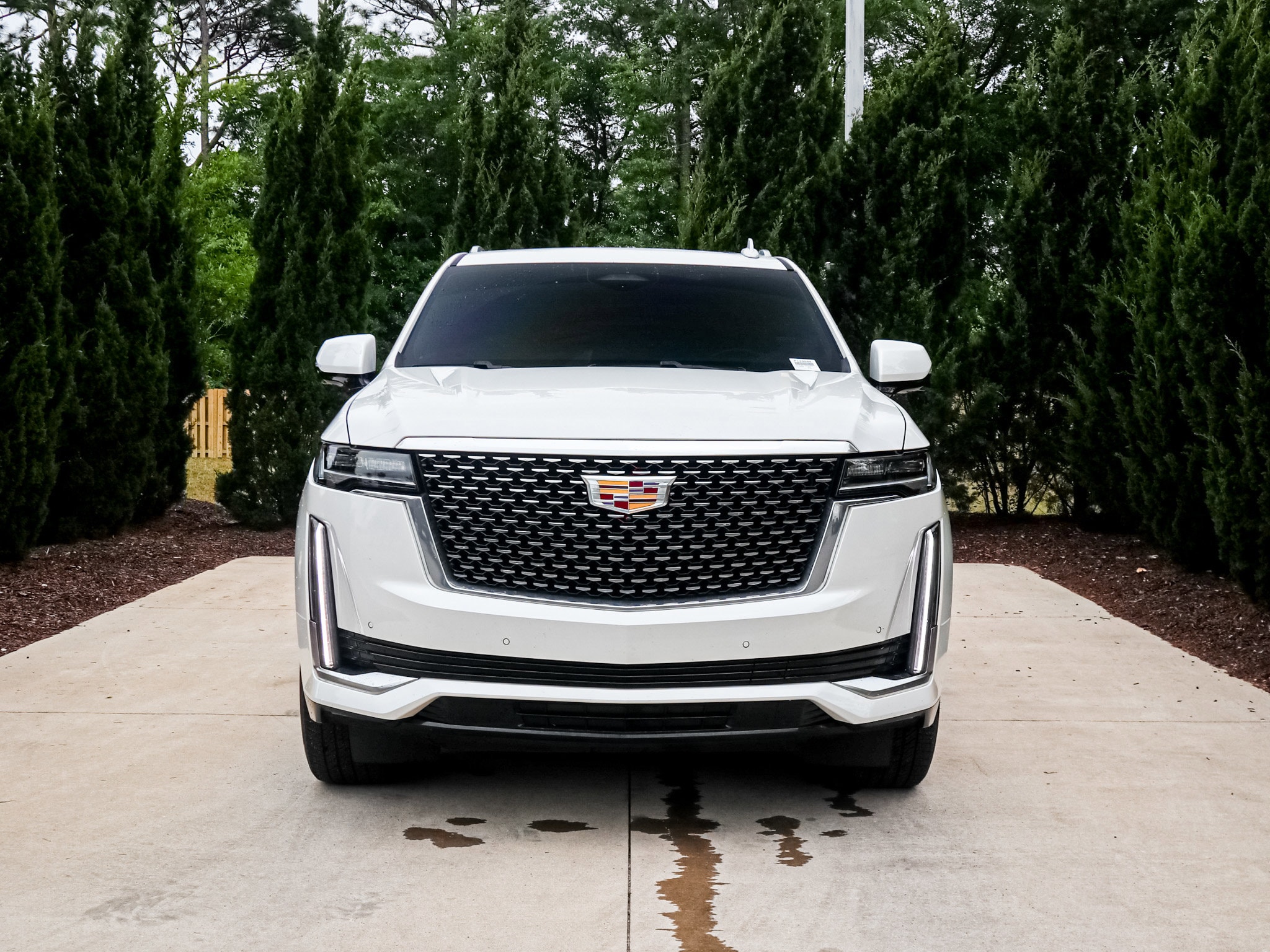 2024 CADILLAC Escalade 4WD Premium Luxury photo 2