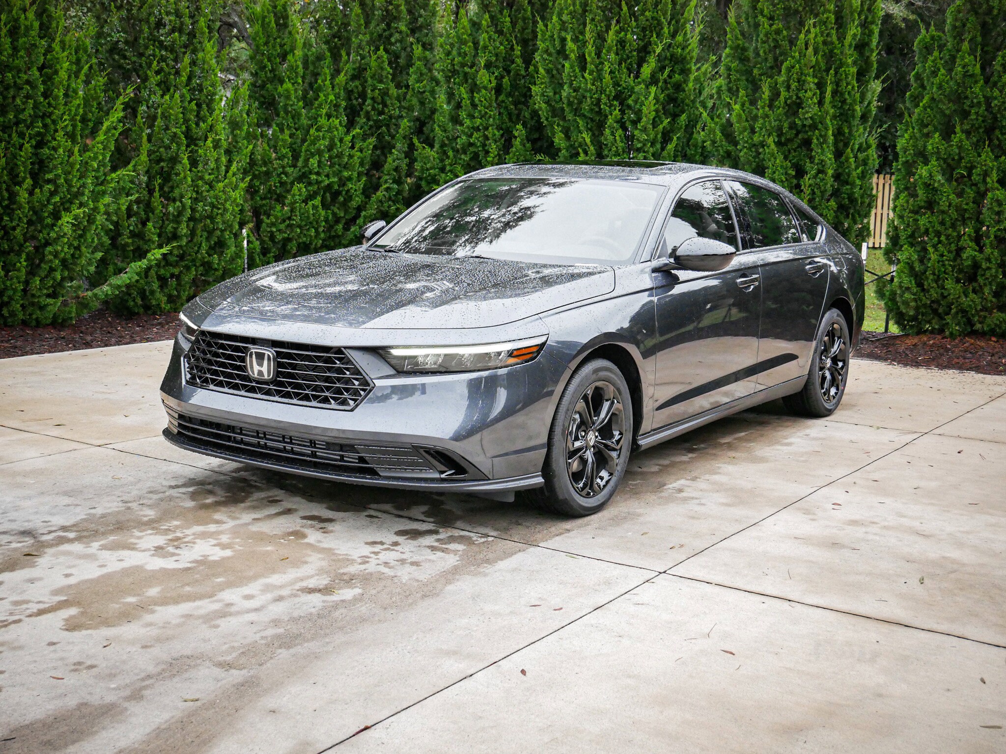 2025 Honda Accord 1.5T SE photo 3