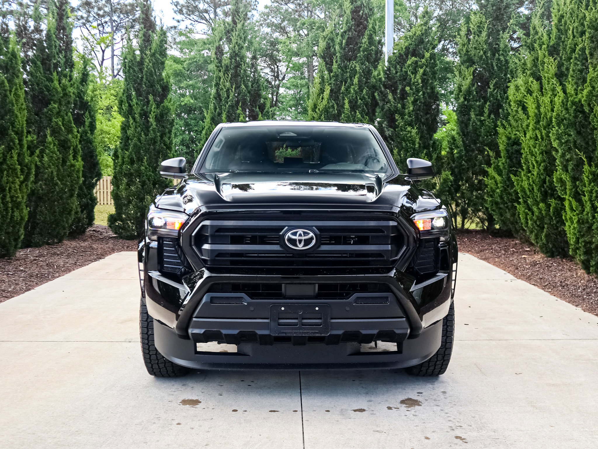 2025 Toyota Tacoma 4WD SR photo 2