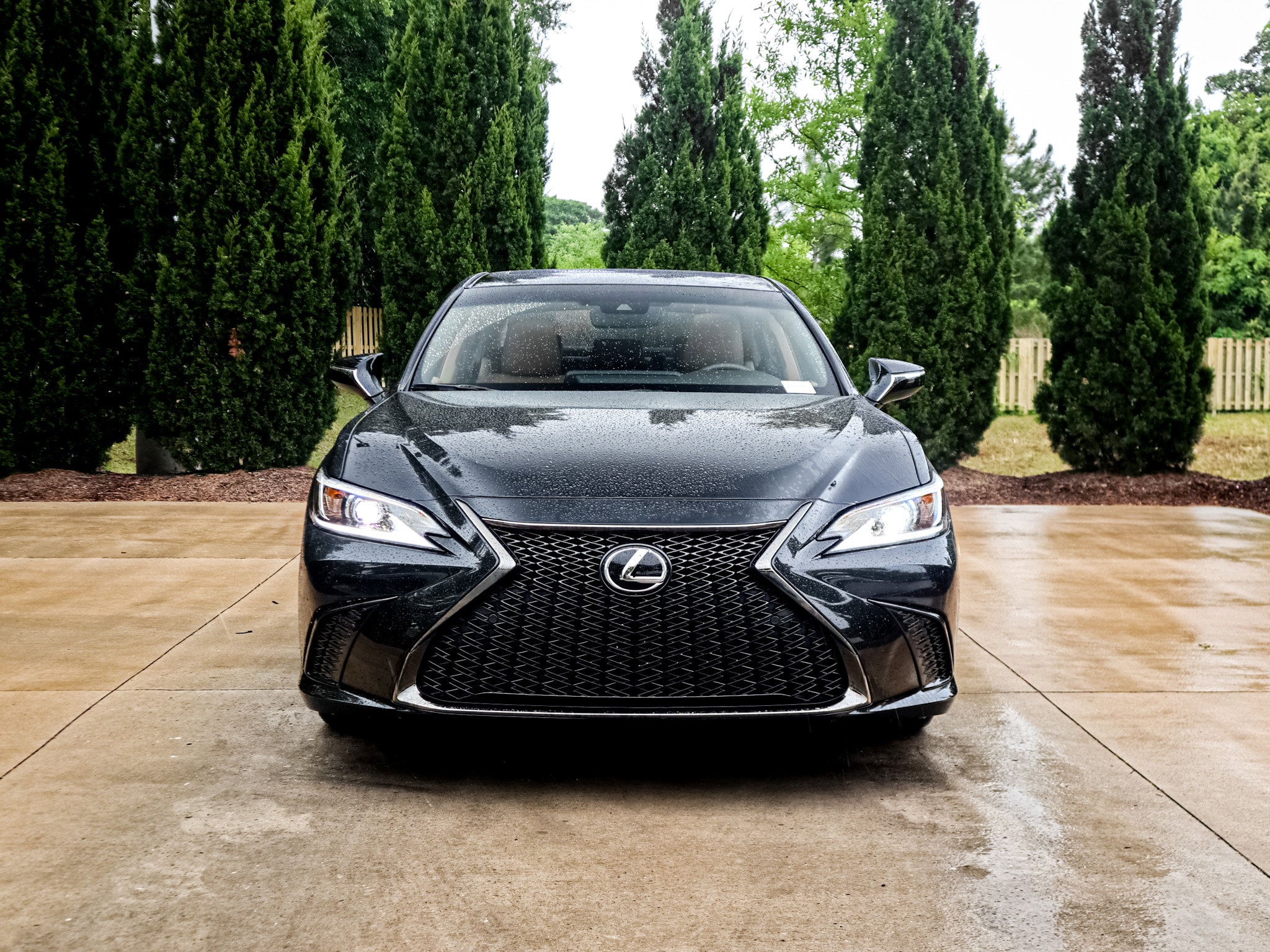 2025 LEXUS ES 300h photo 2