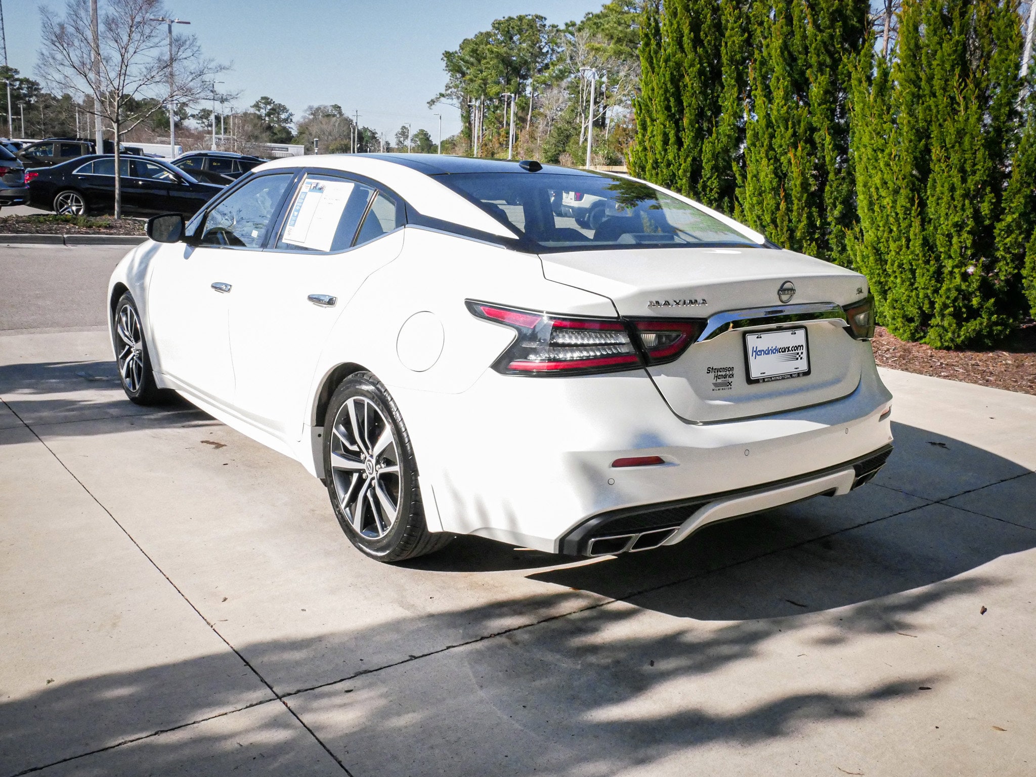 2023 Nissan Maxima SL photo 6