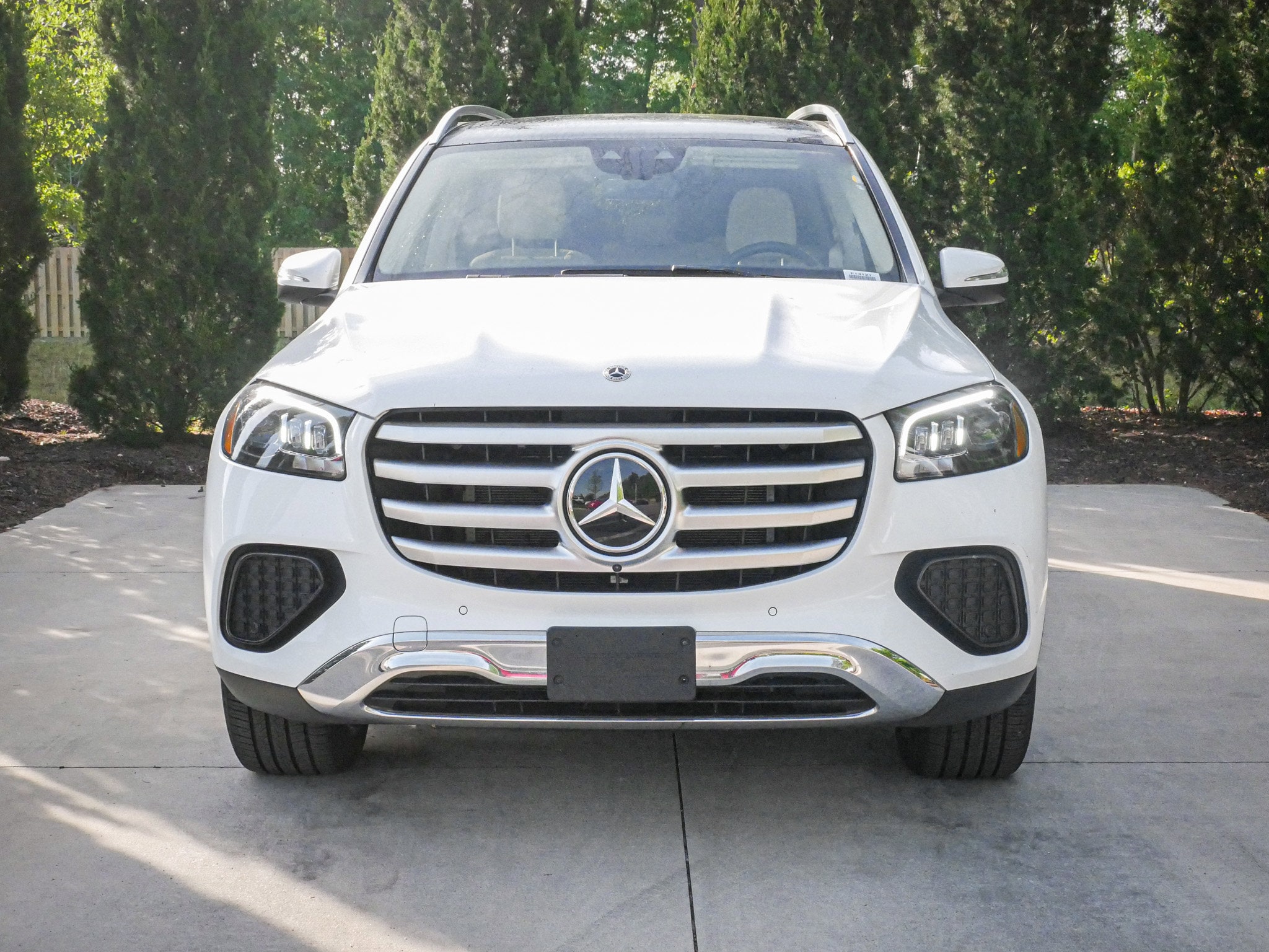 2025 Mercedes-Benz GLS 450 photo 2