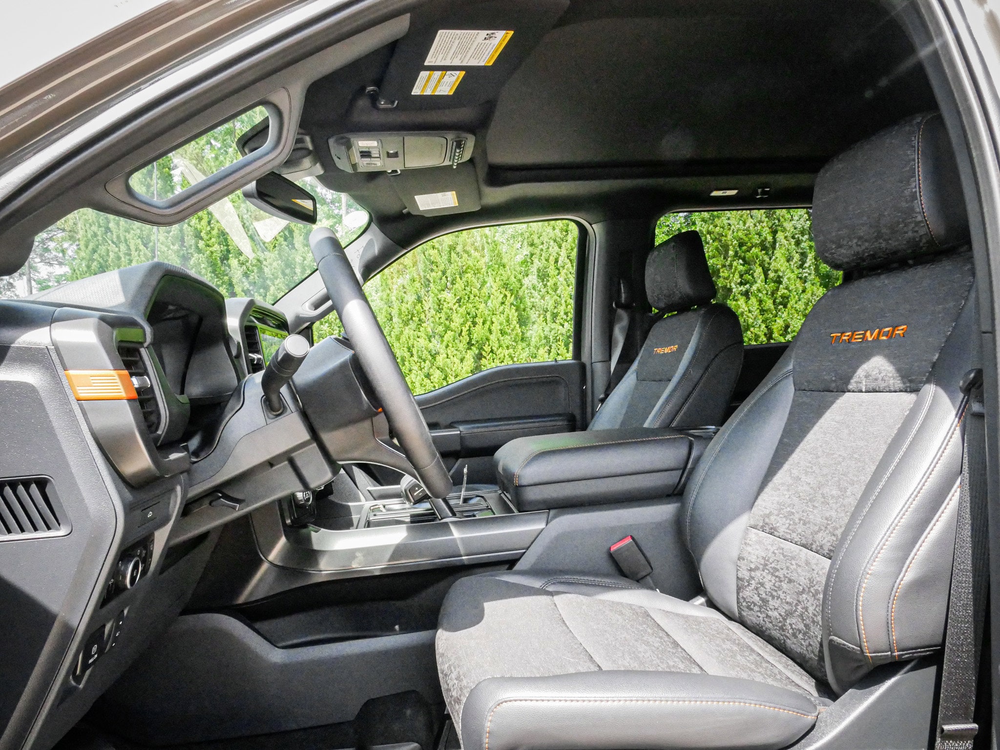 2026 Ford F-150 Tremor photo 6