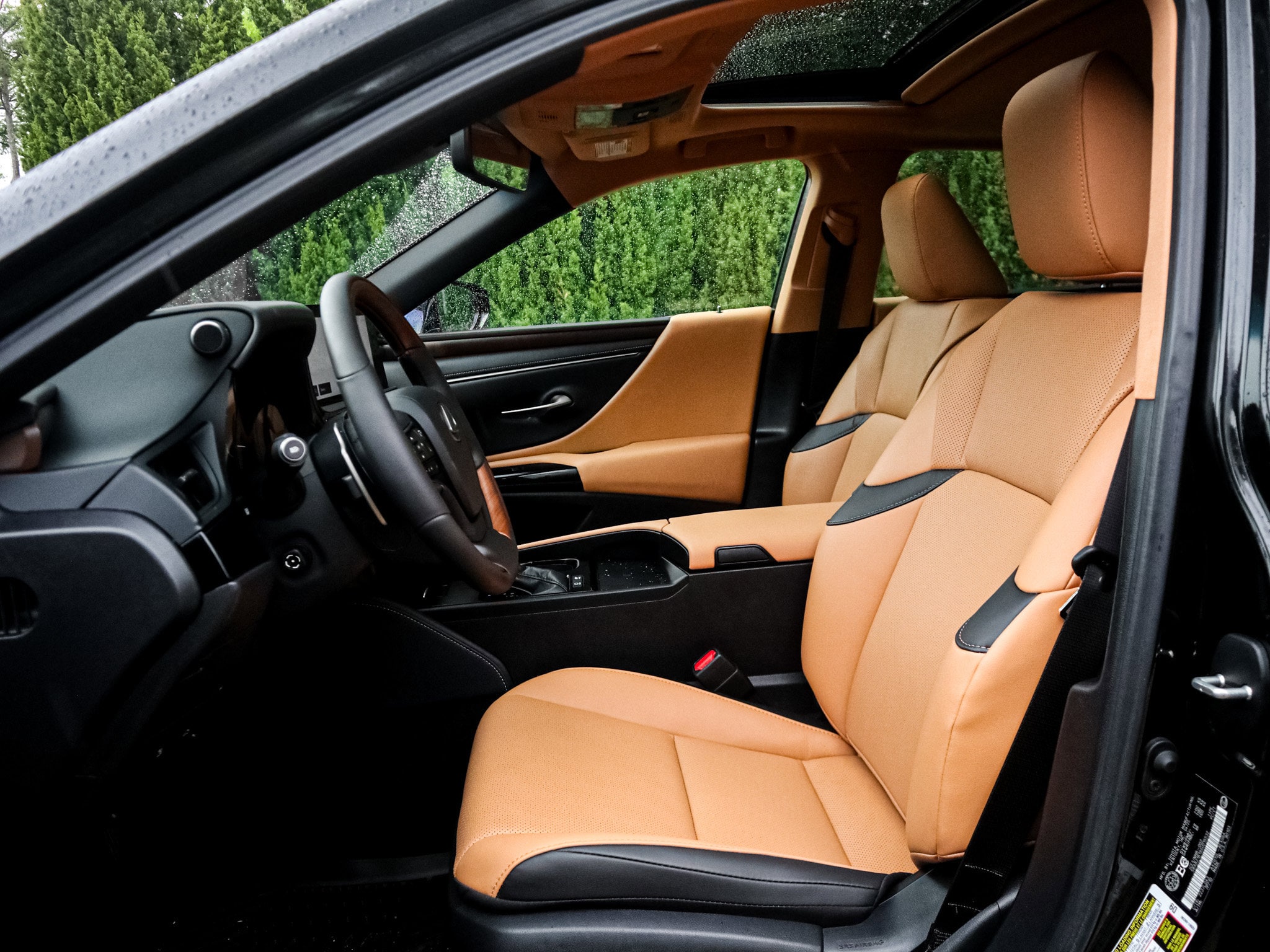 2025 LEXUS ES 300h photo 6