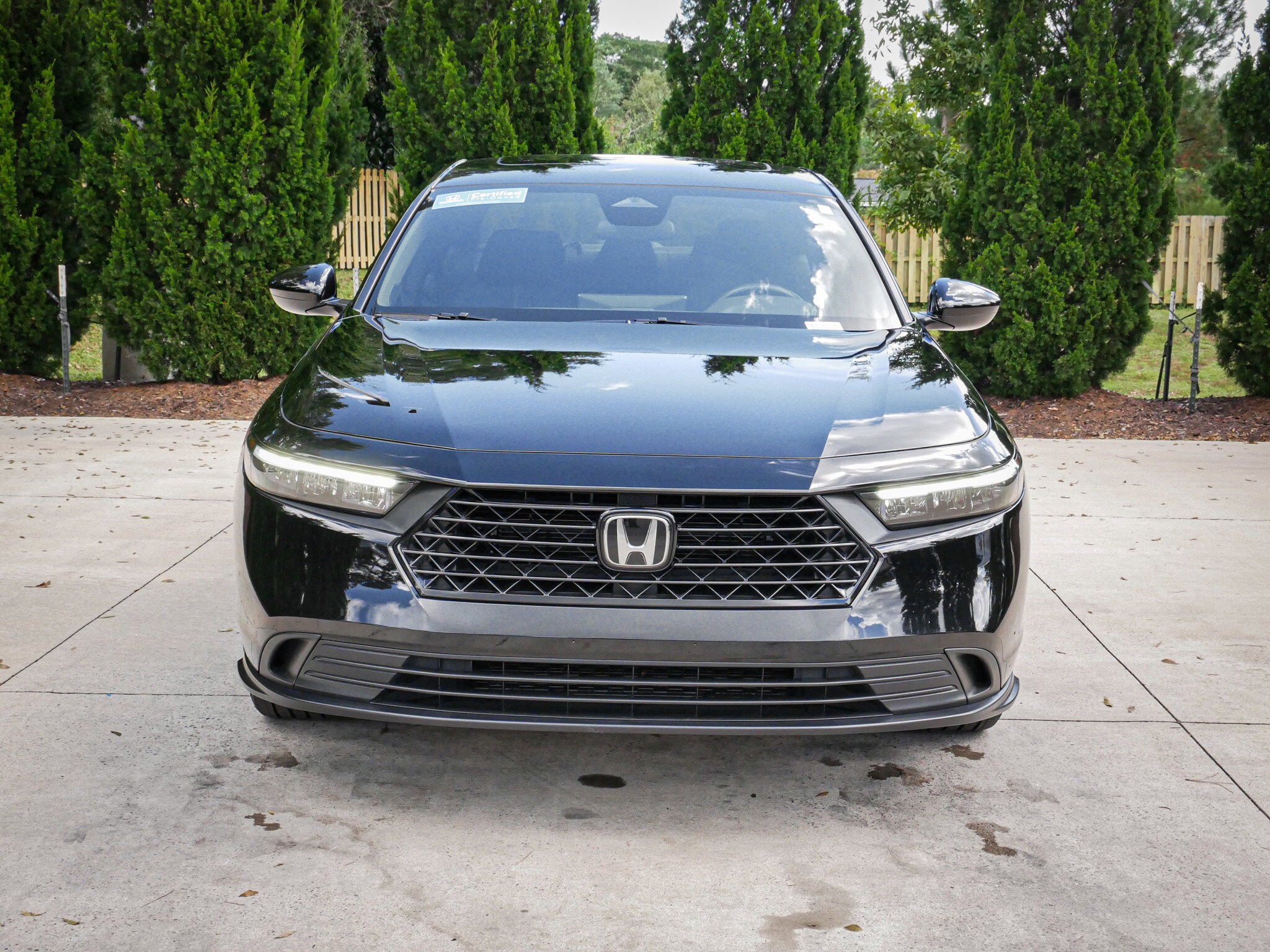 2024 Honda Accord Hybrid Sport photo 2
