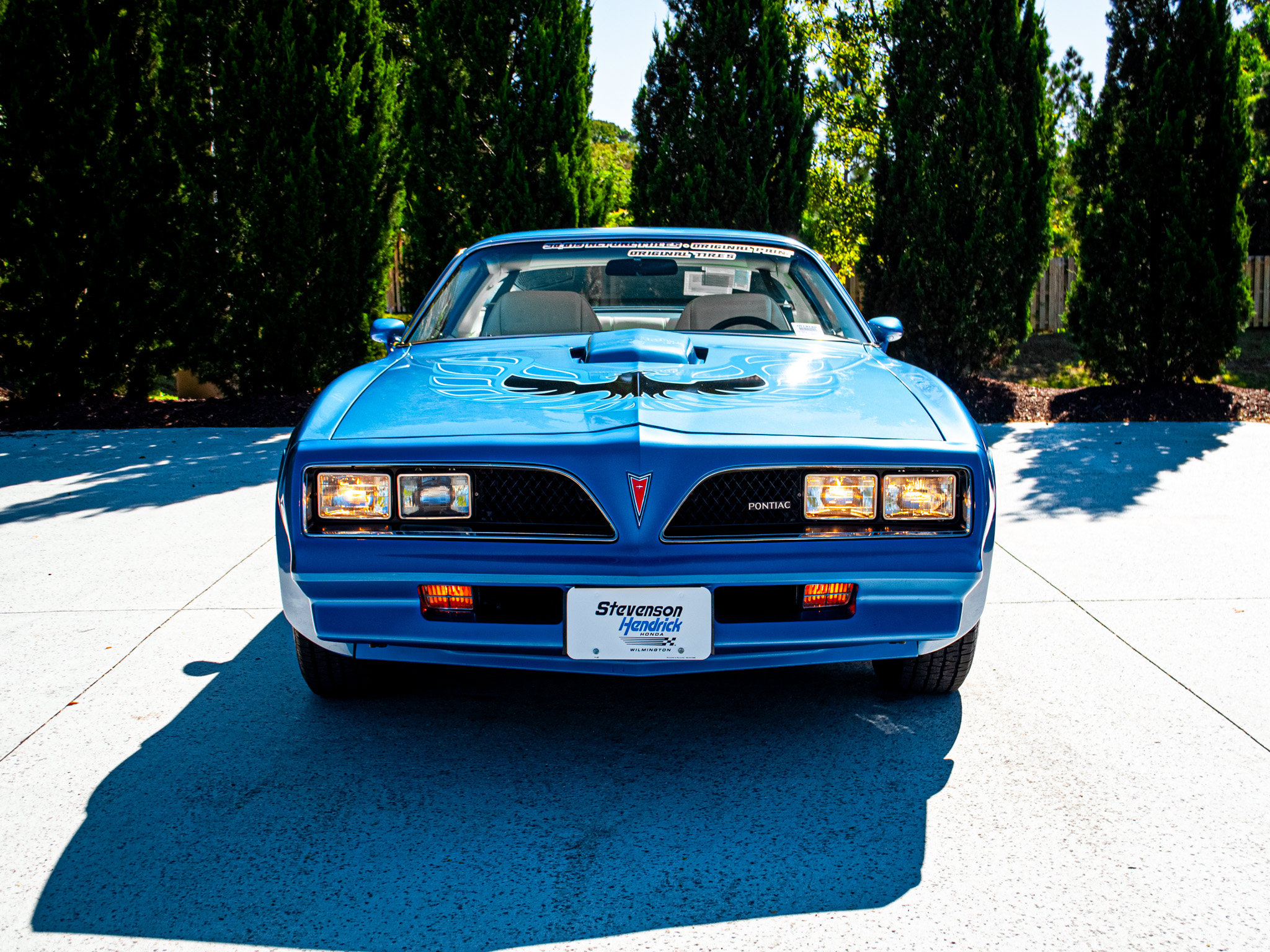 Used 1978 Pontiac Trans AM Firebird Coupe