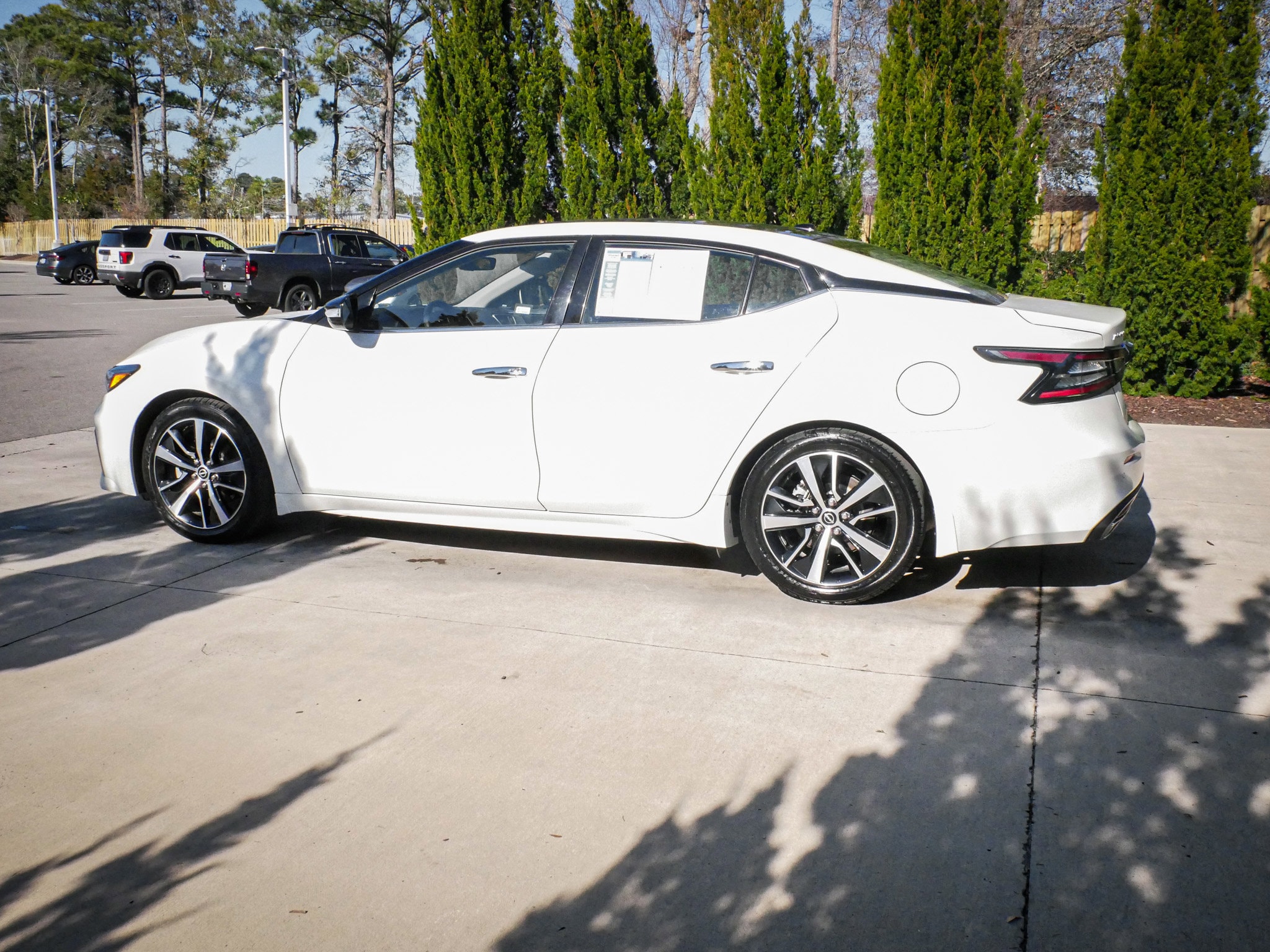 2023 Nissan Maxima SL photo 5