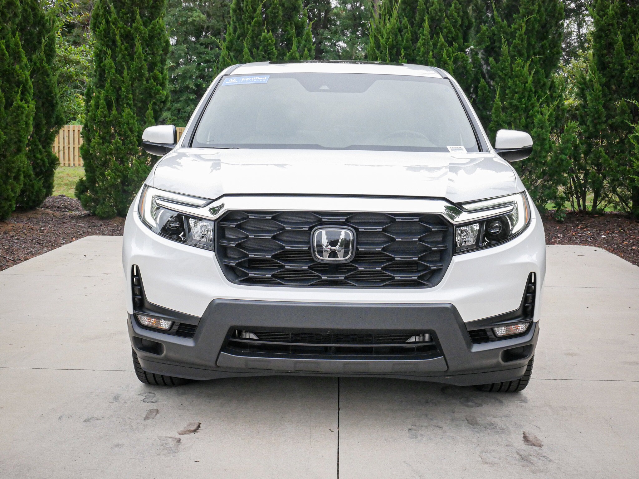 2022 Honda Passport EX-L photo 2