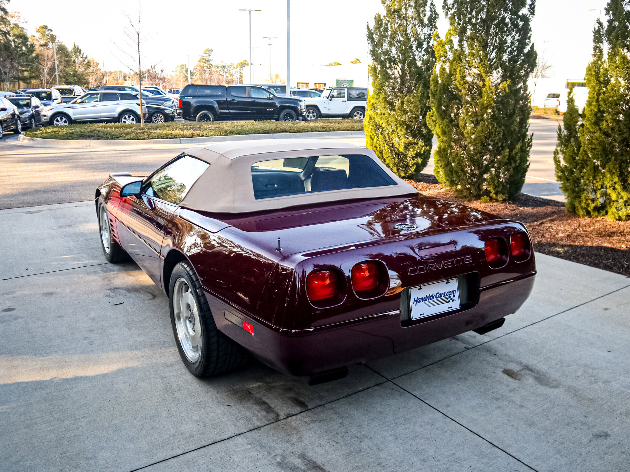 1993 Chevrolet Corvette 40th Anniversary photo 6