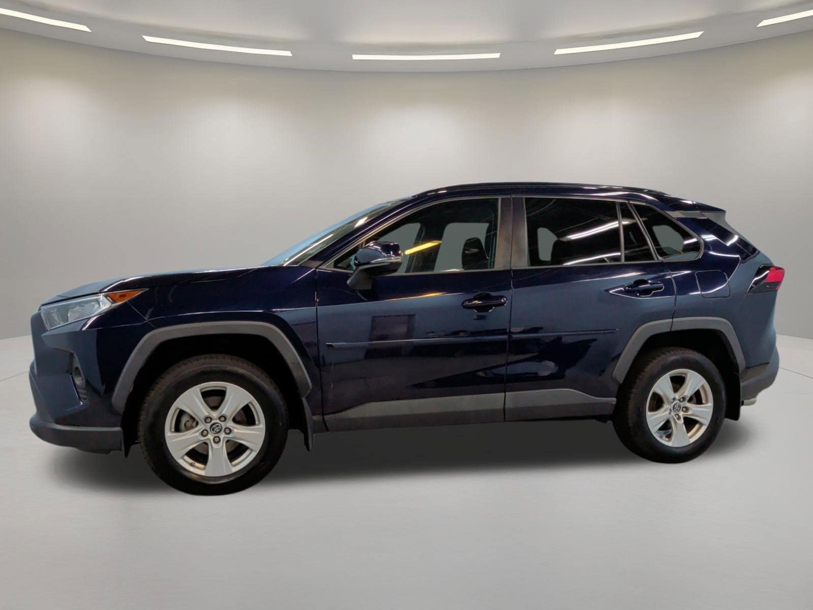 2019 Toyota RAV4 XLE photo 6