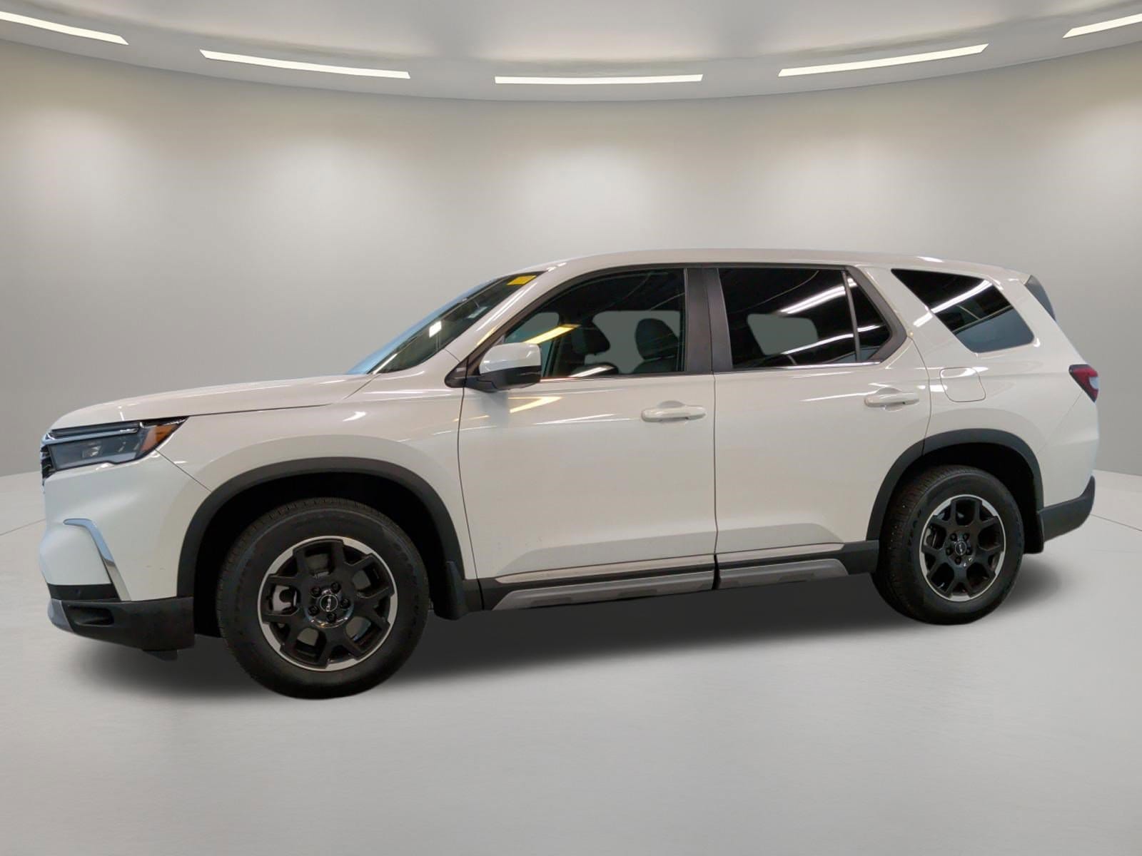 2025 Honda Pilot EX-L+ photo 6