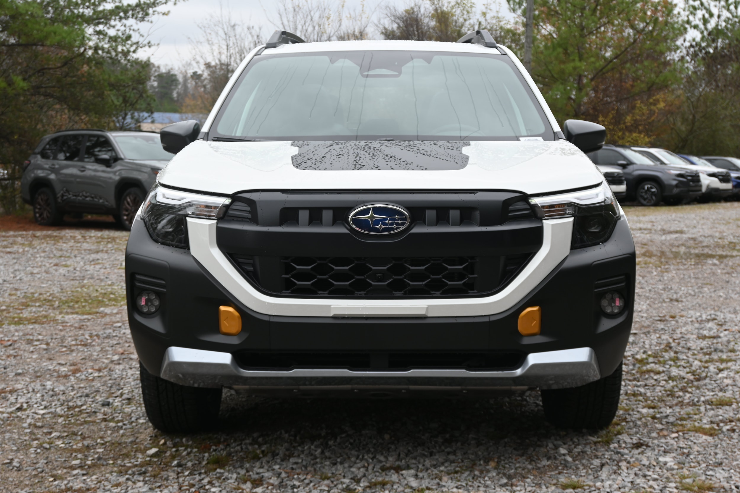 Subaru Forester Wilderness