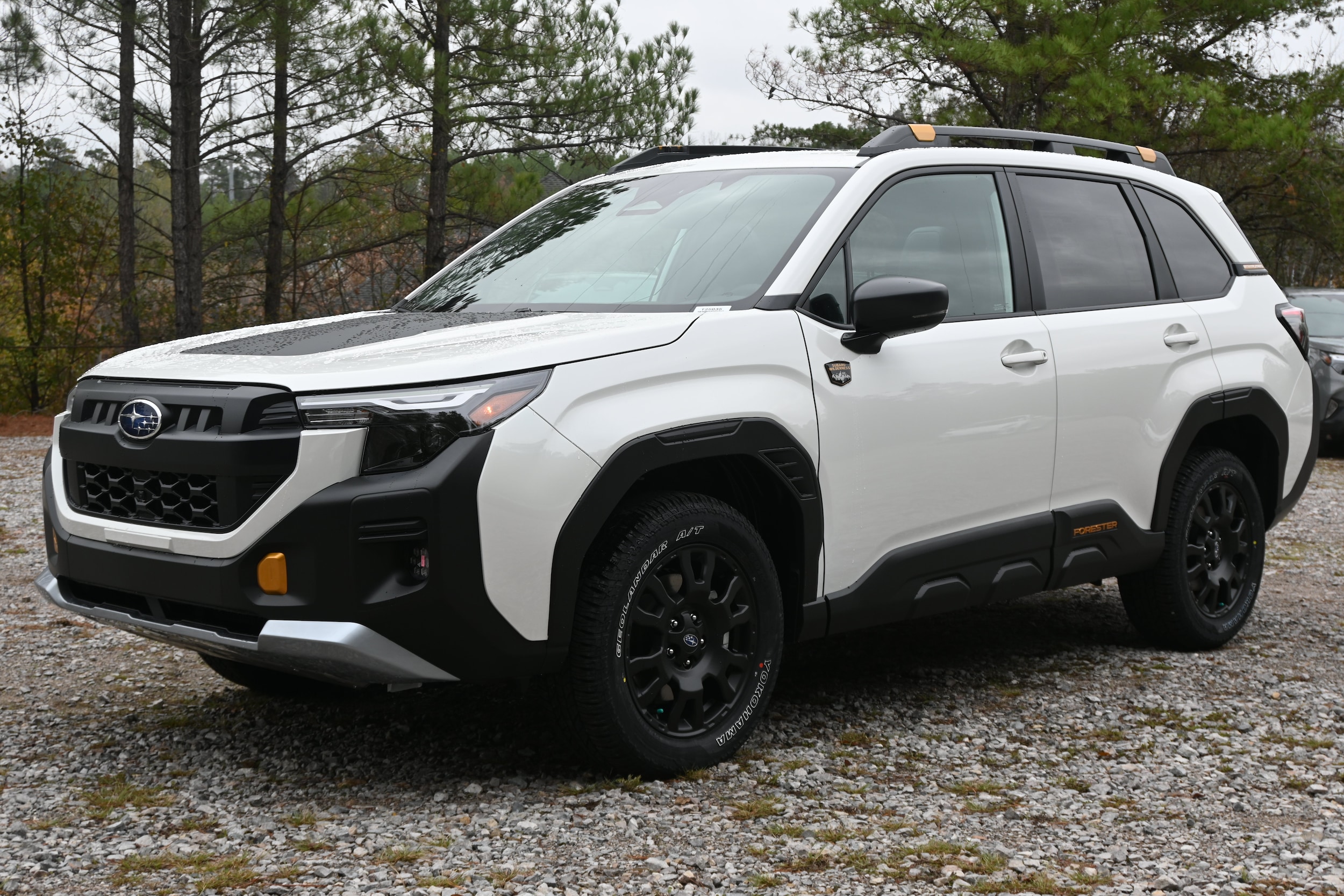 Subaru Forester Wilderness