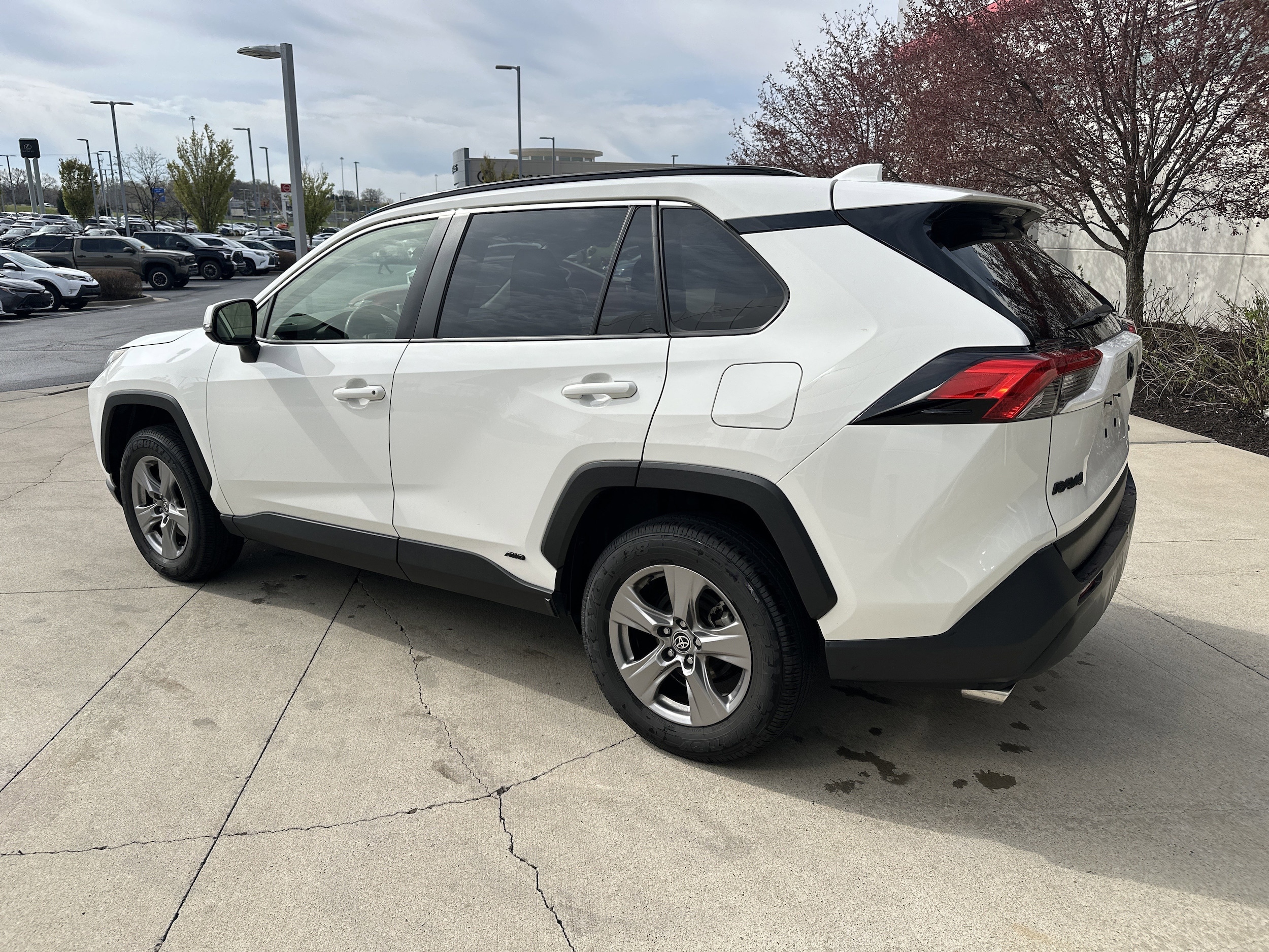 2023 Toyota RAV4 Hybrid LE photo 6