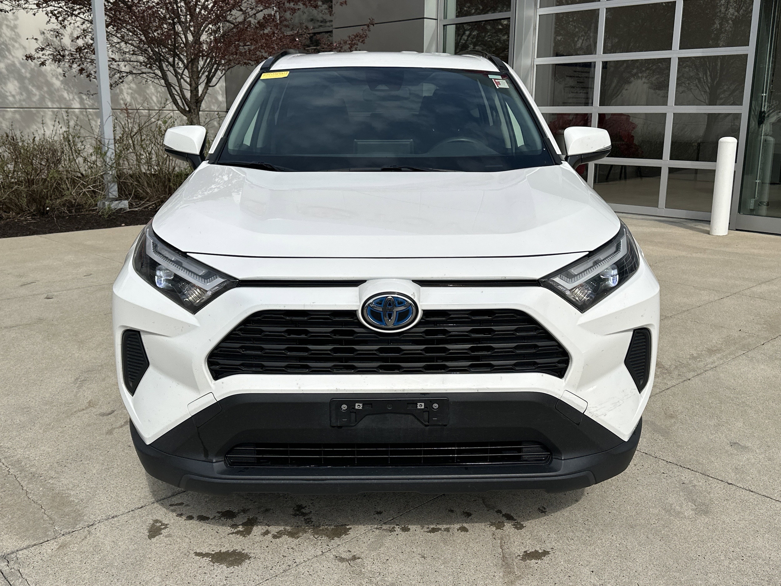 2023 Toyota RAV4 Hybrid LE photo 4