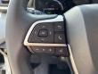 2025 Toyota Sienna XLE Minivan