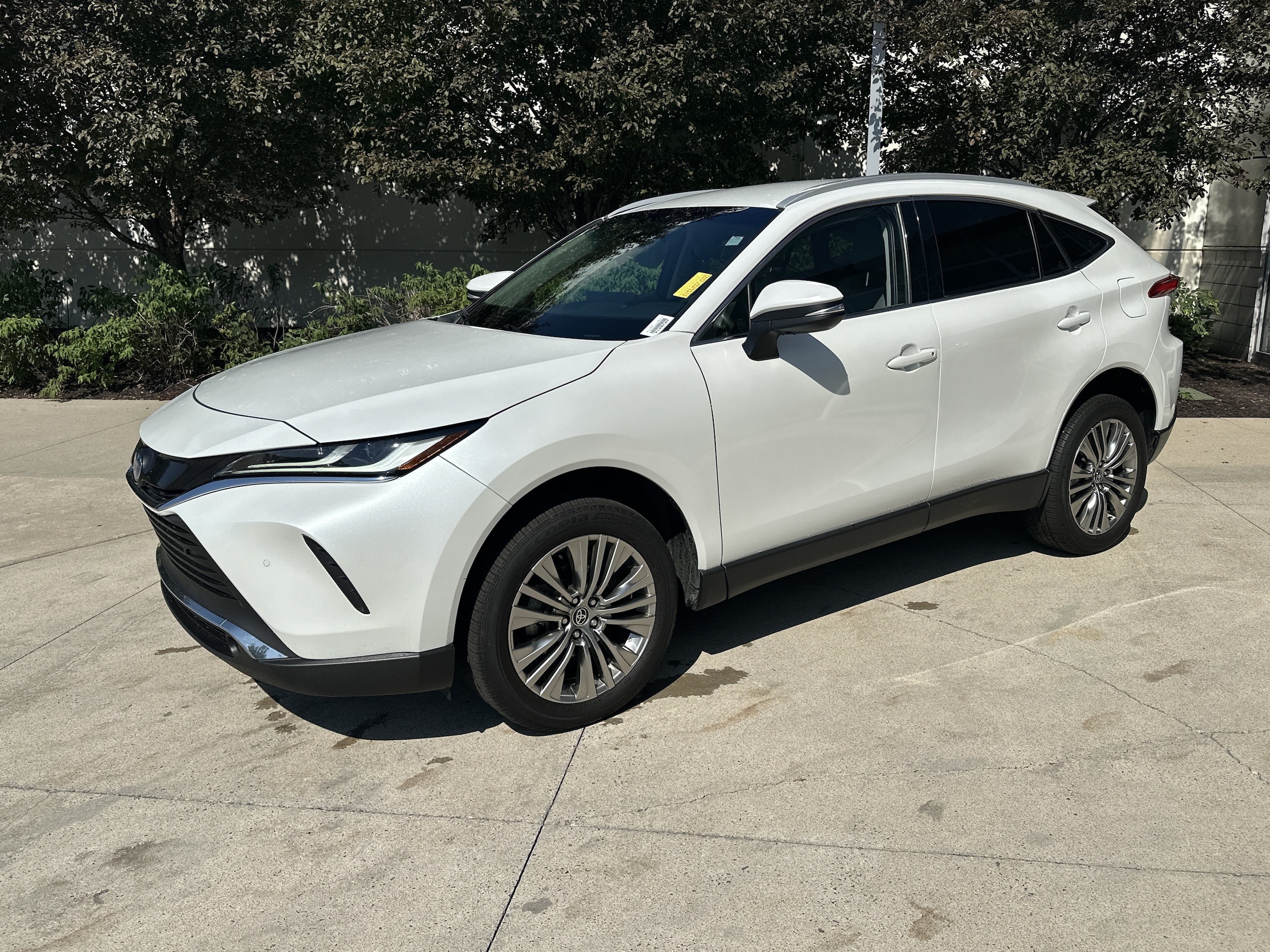 Toyota Venza XLE