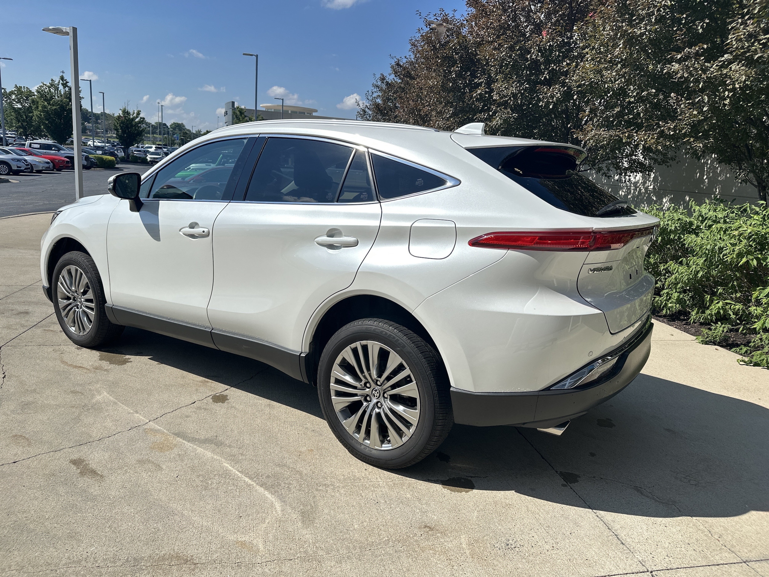 Toyota Venza XLE