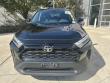 2024 Toyota RAV4 LE SUV