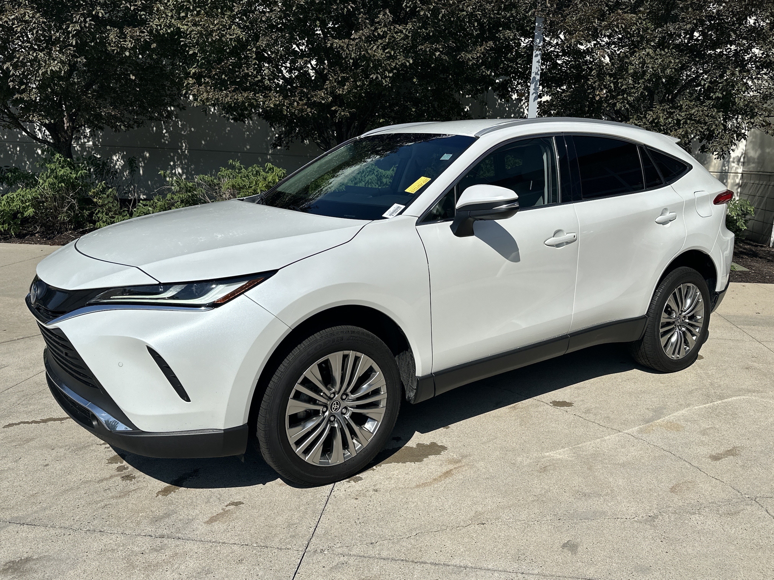 Toyota Venza XLE