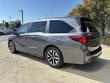 2025 Honda Odyssey EX-L Minivan