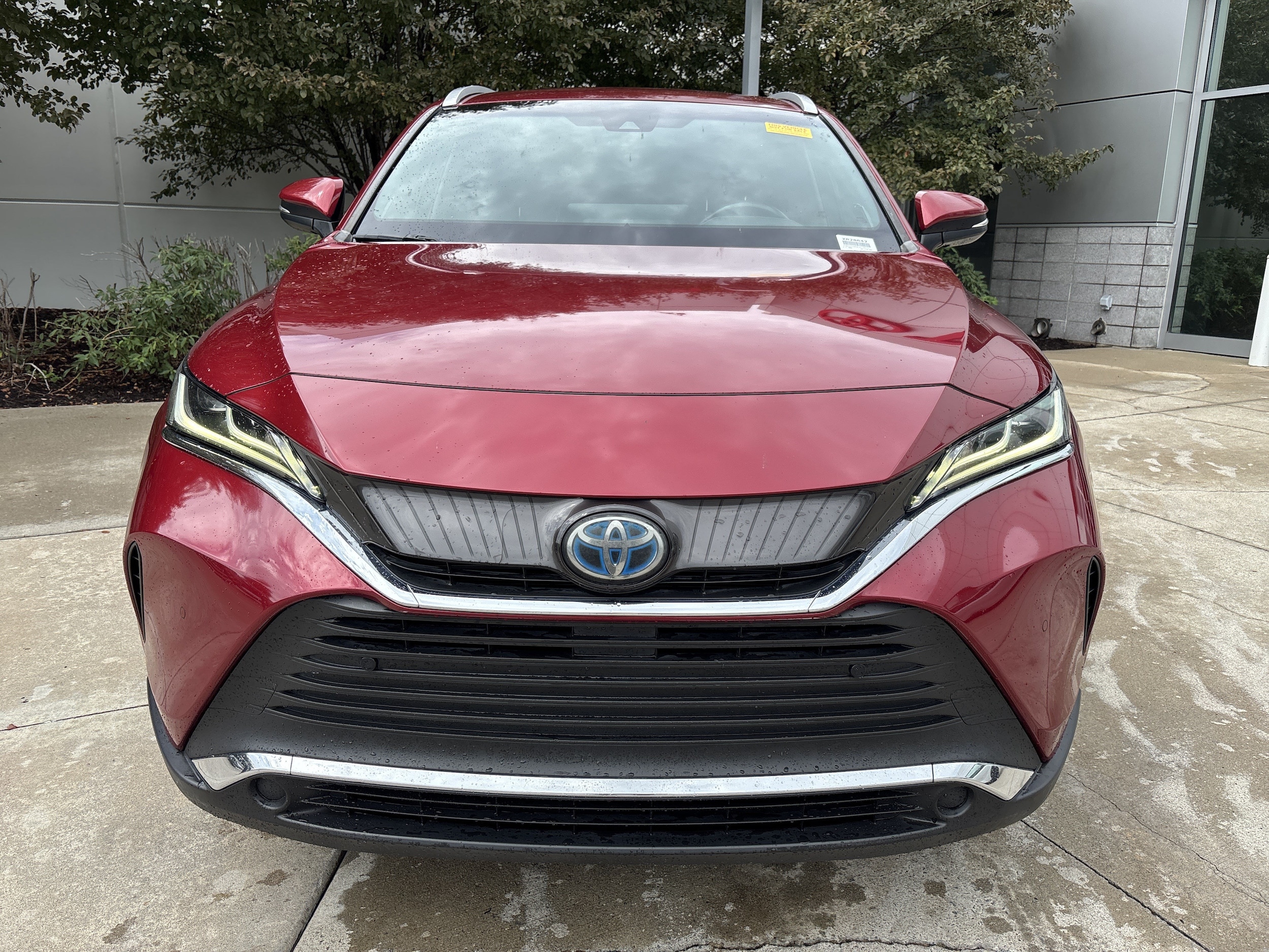 Toyota Venza XLE