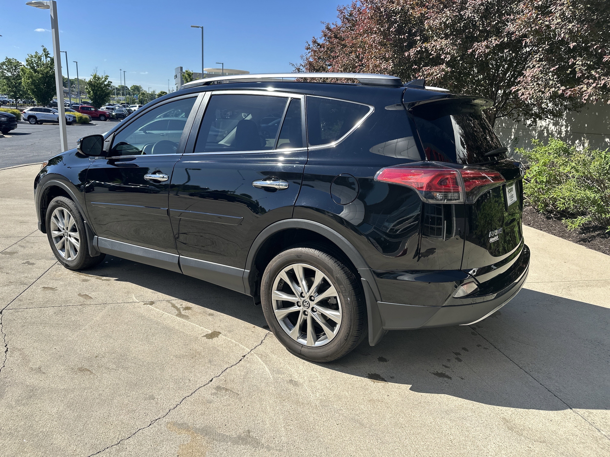 2017 Toyota RAV4 Limited photo 5