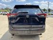 2020 Toyota RAV4 XLE SUV