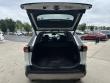 2024 Toyota RAV4 Limited SUV