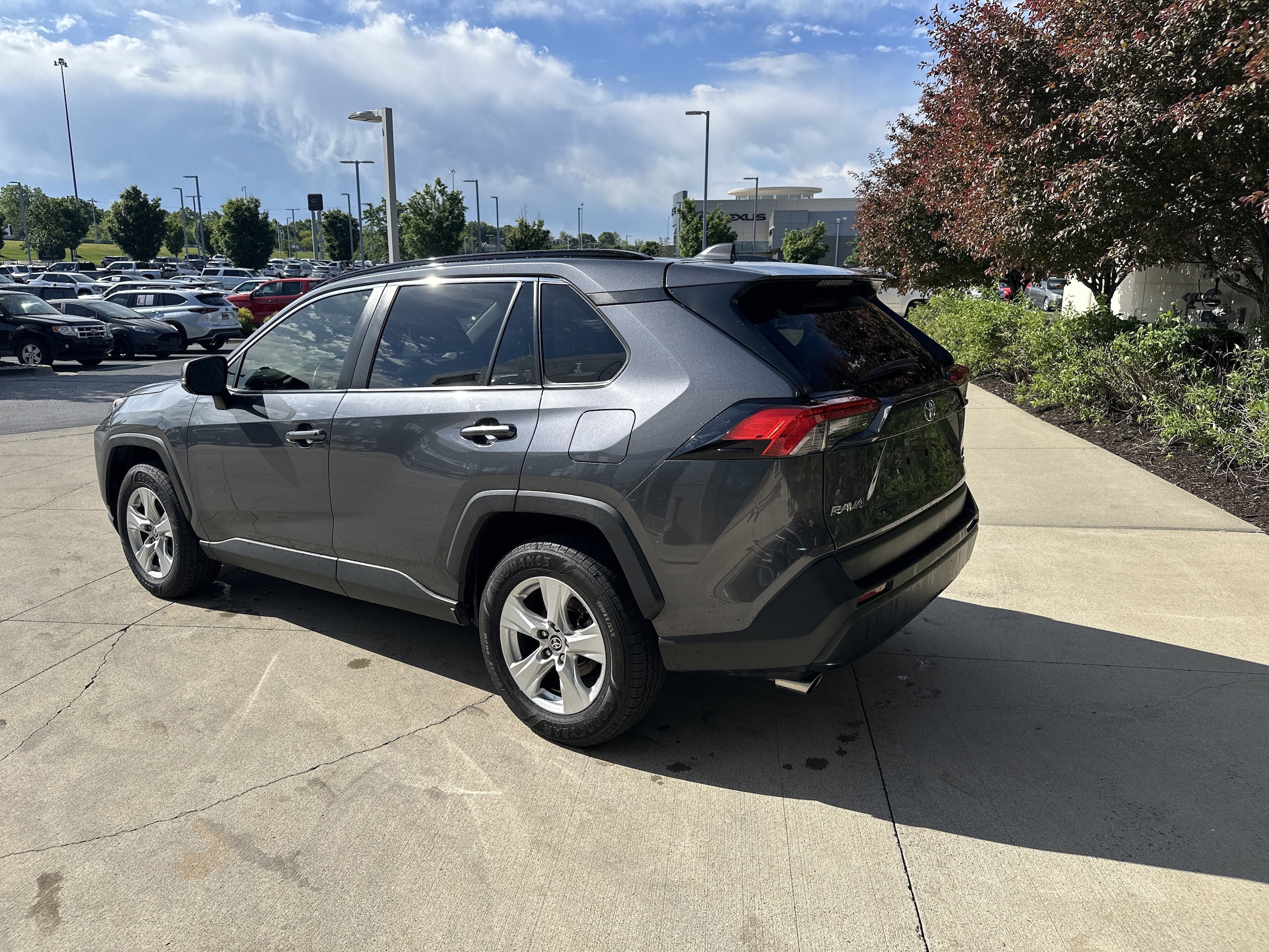 2020 Toyota RAV4 XLE photo 6