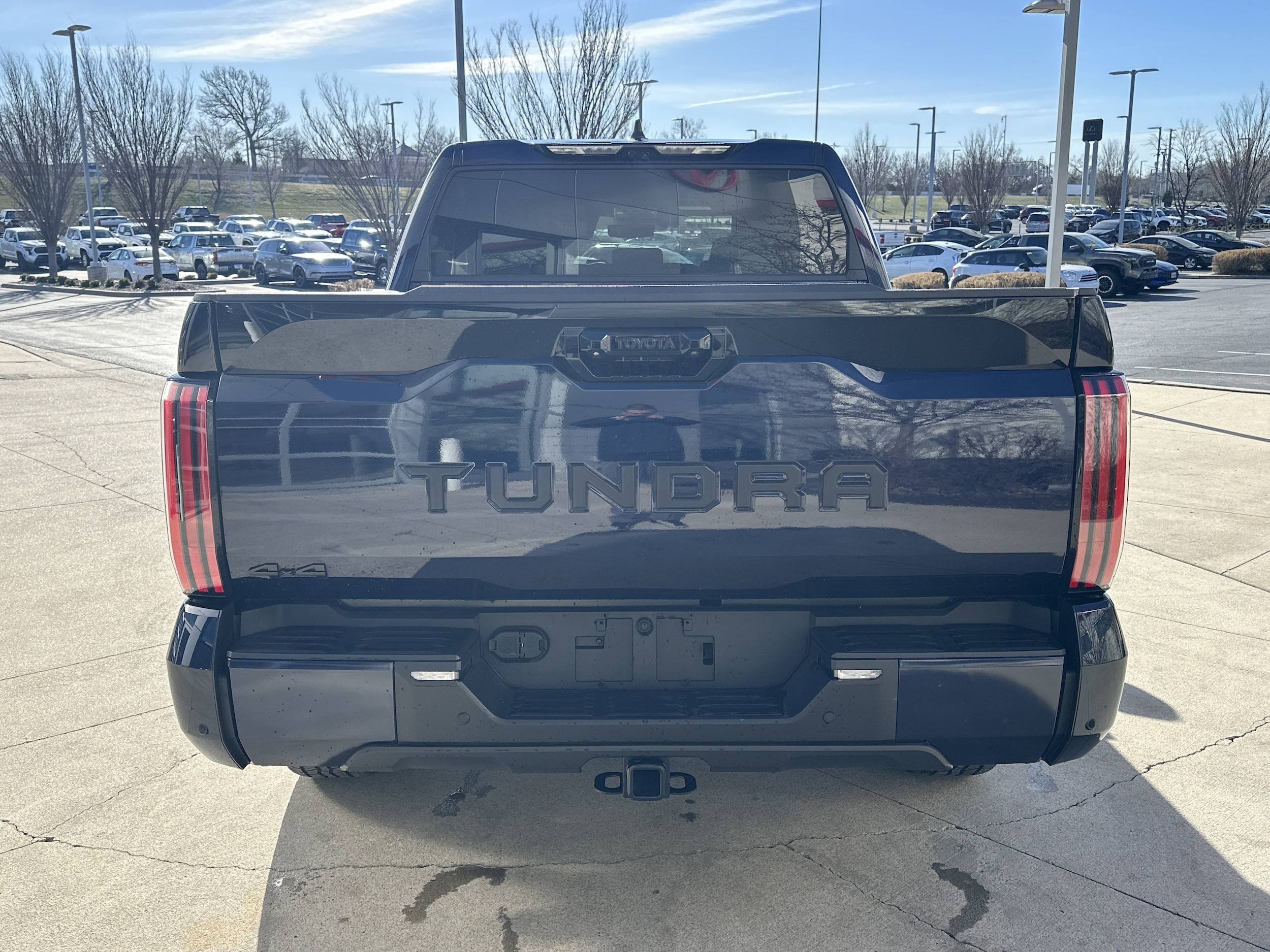 2025 Toyota Tundra 4WD Platinum photo 6