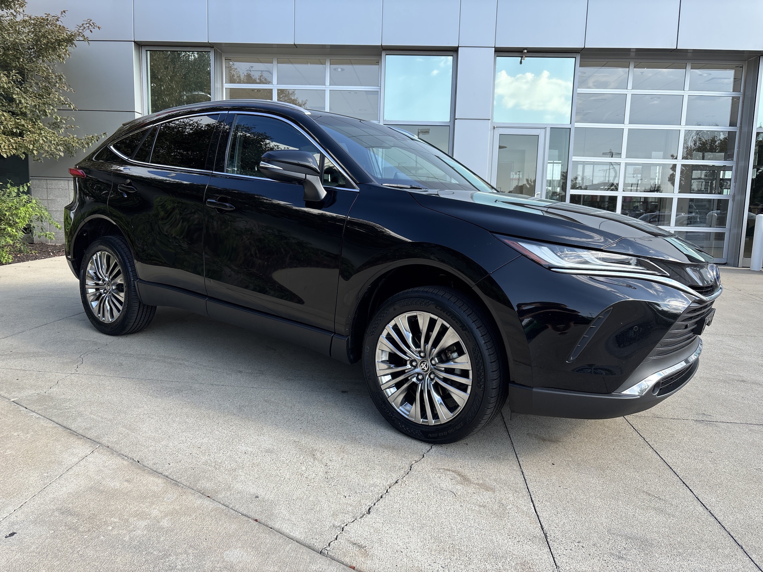 2024 Toyota Venza XLE