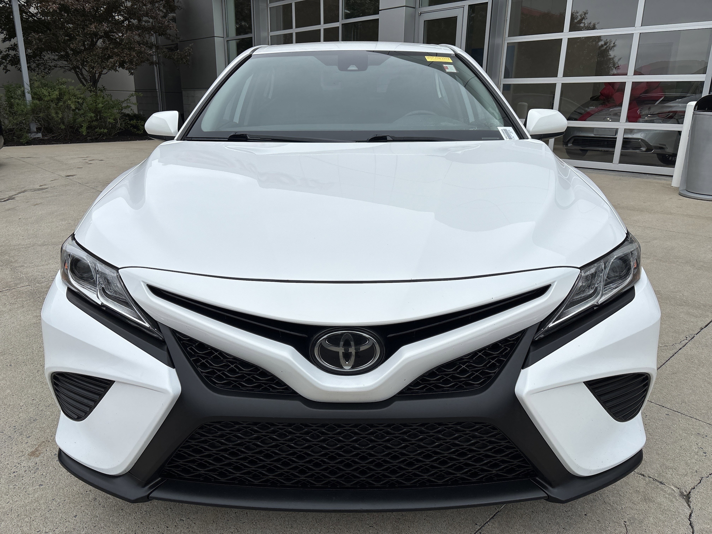 2019 Toyota Camry SE photo 4