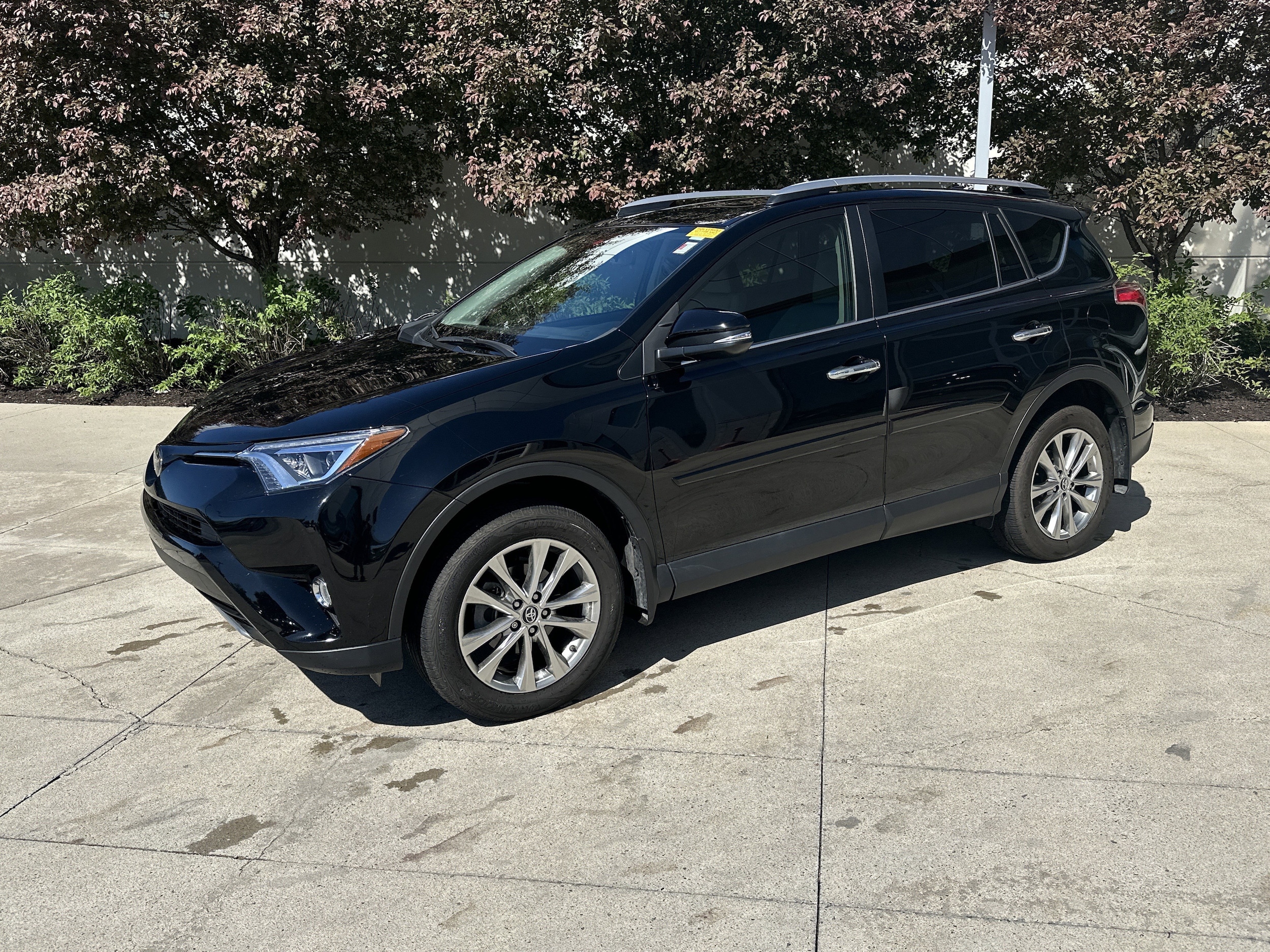 2017 Toyota RAV4 Limited photo 2