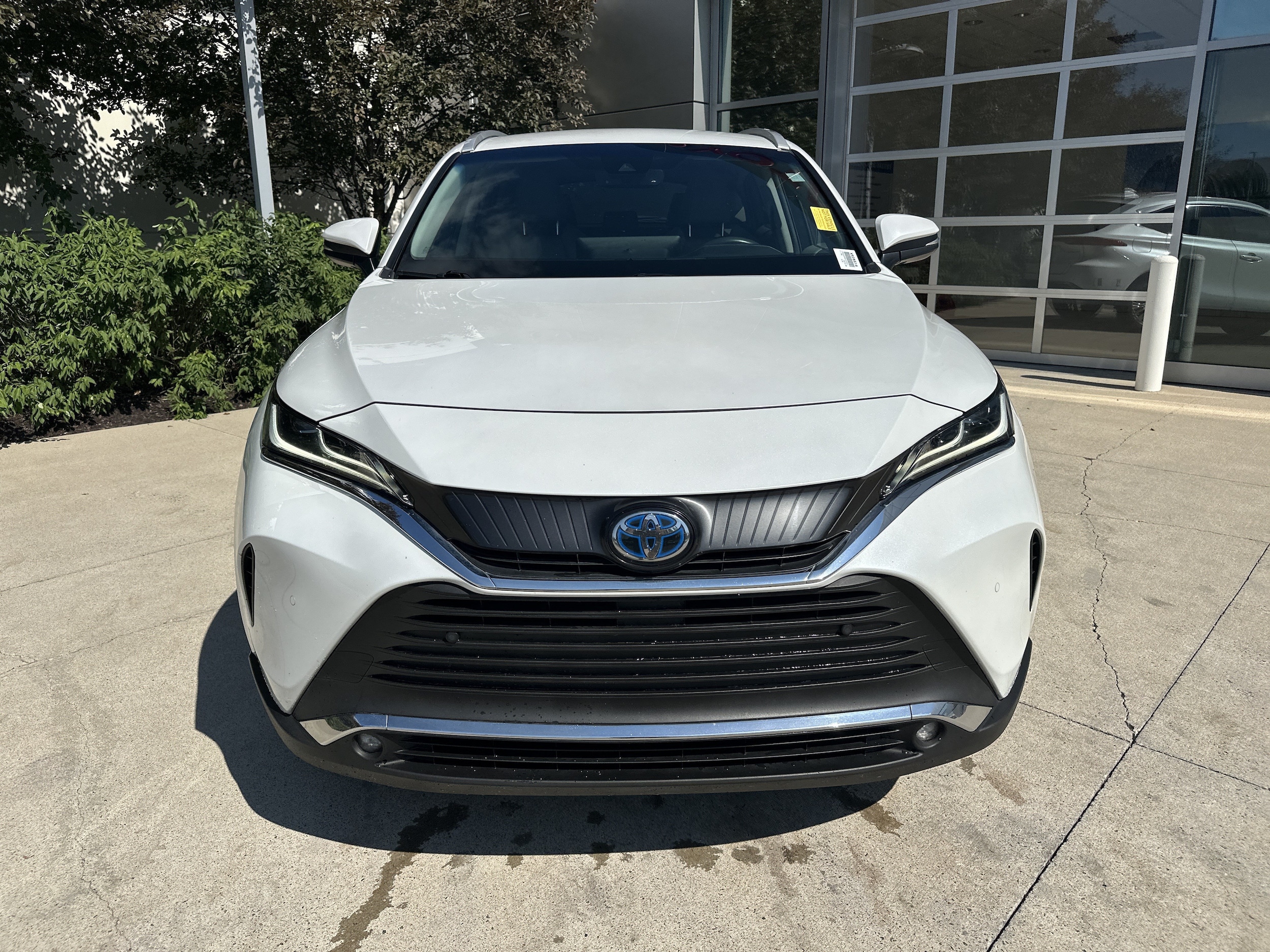 Toyota Venza XLE