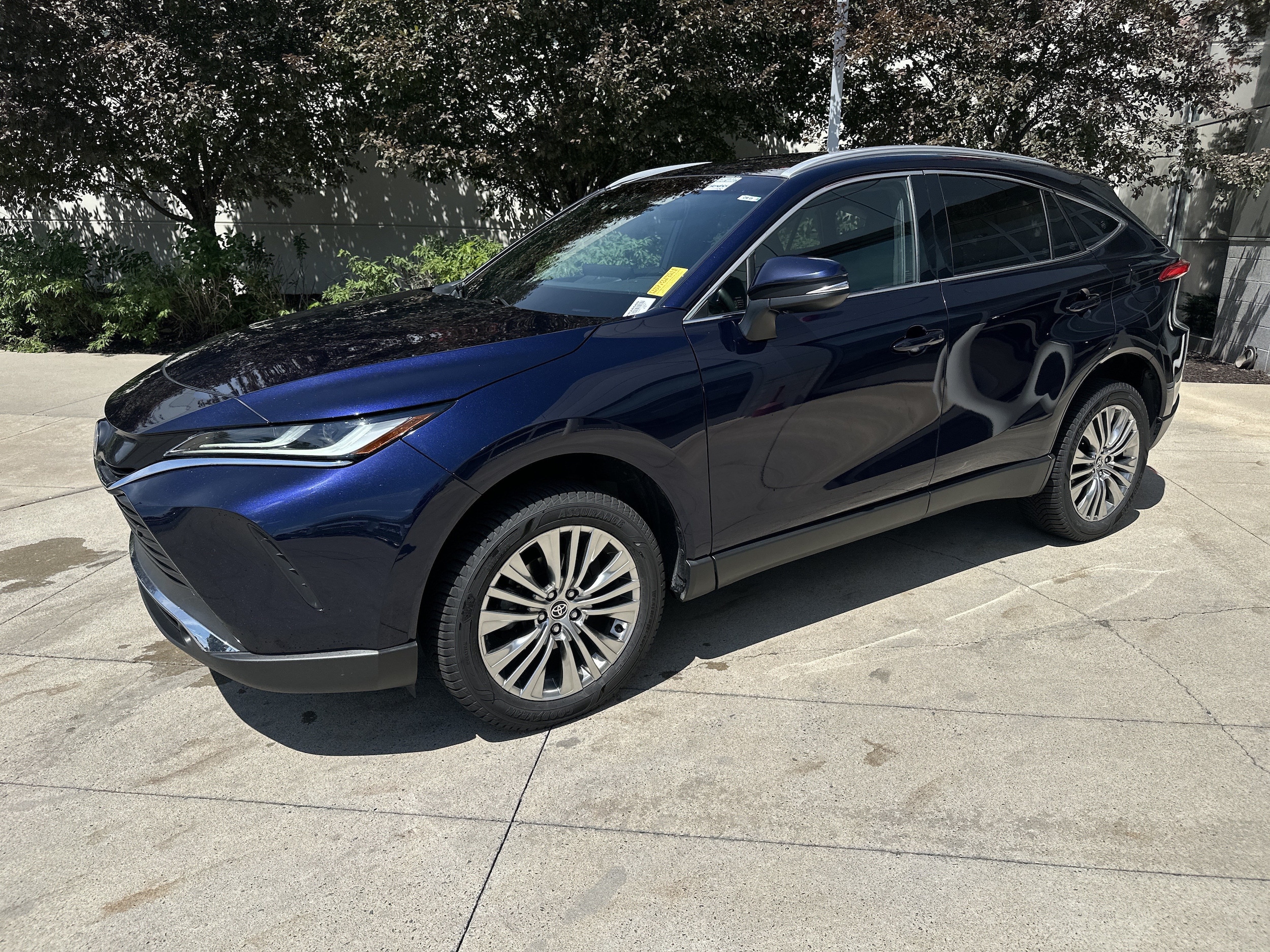 Toyota Venza XLE