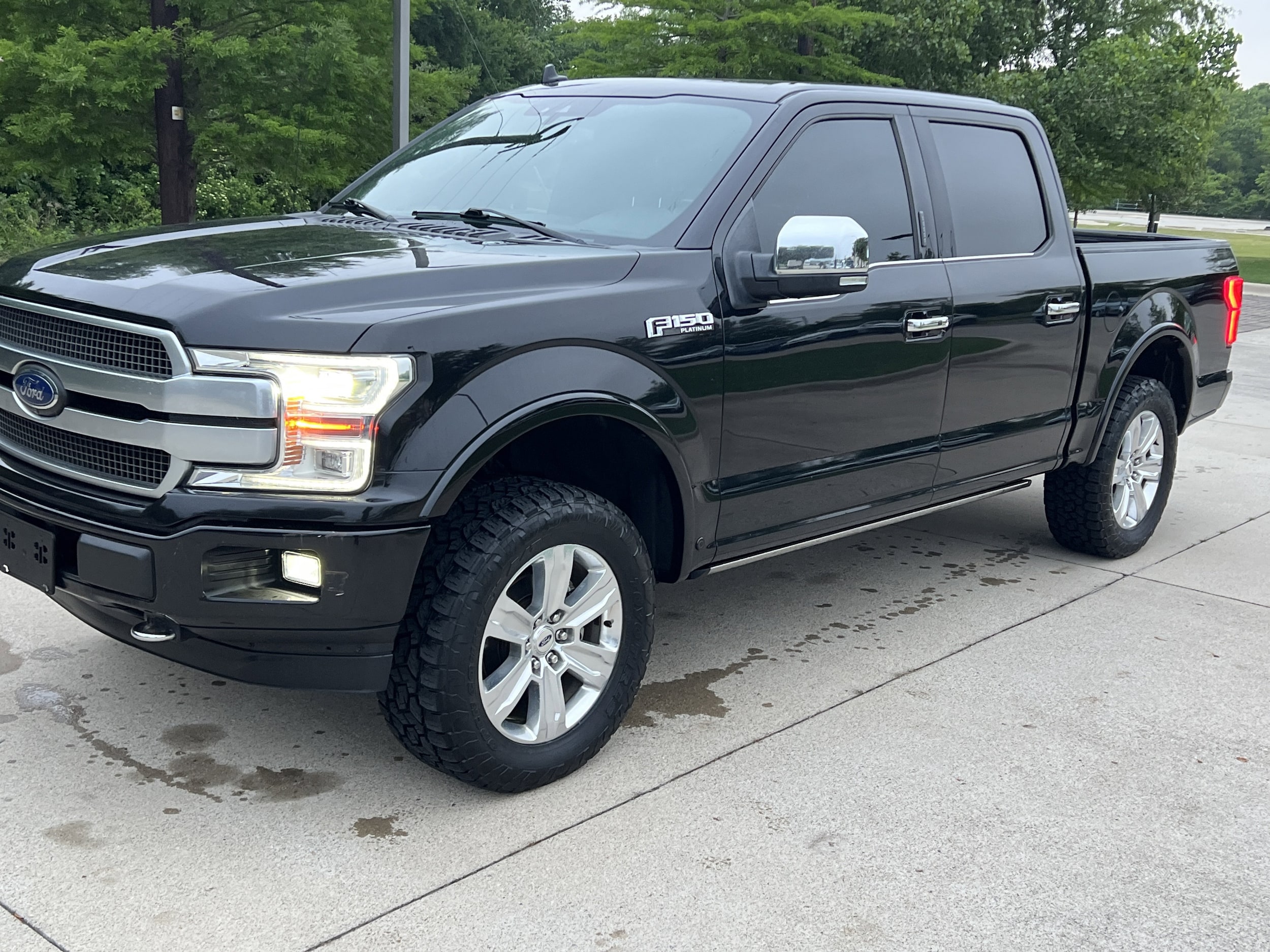 2019 Ford F-150 Platinum photo 4
