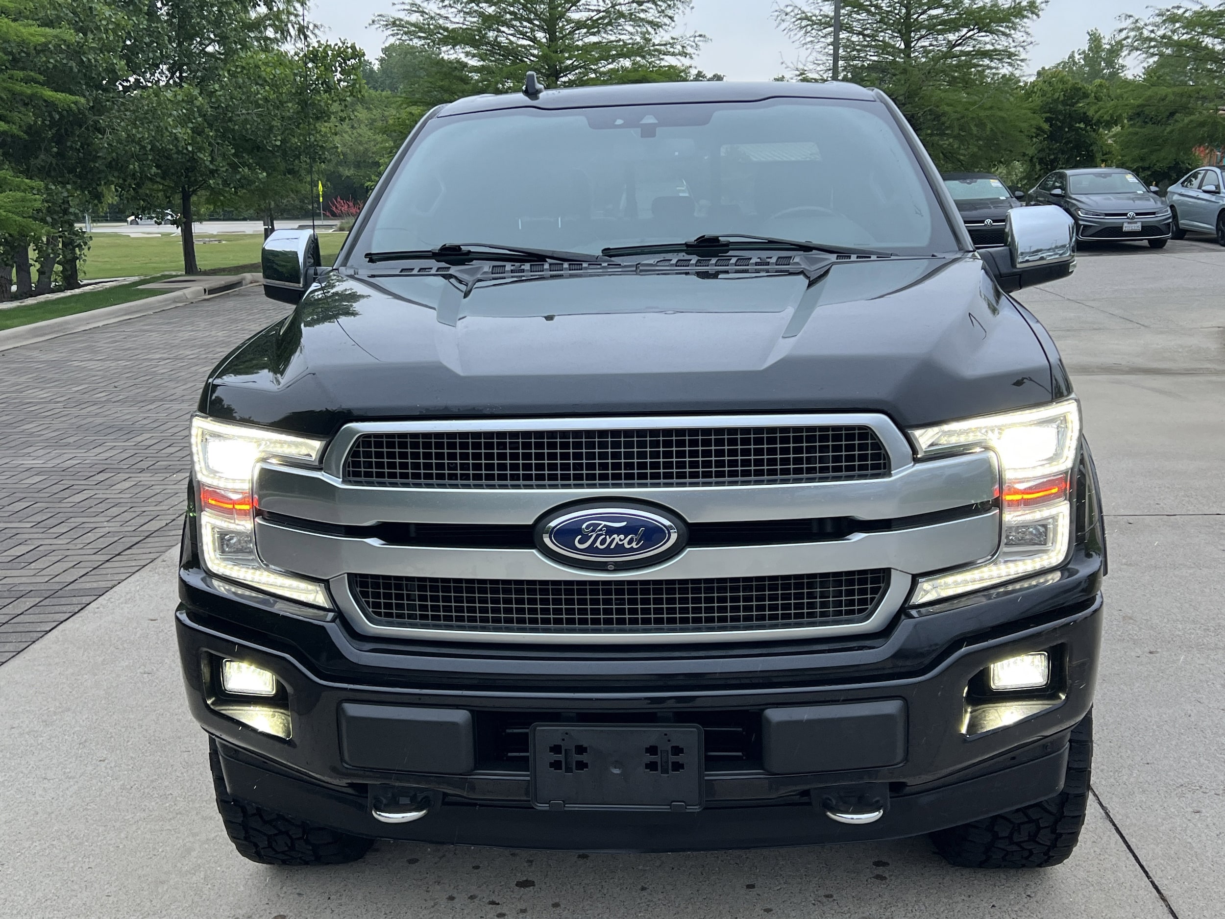 2019 Ford F-150 Platinum photo 2