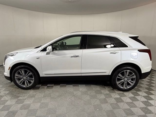 2025 Cadillac XT5 Premium Luxury photo 2