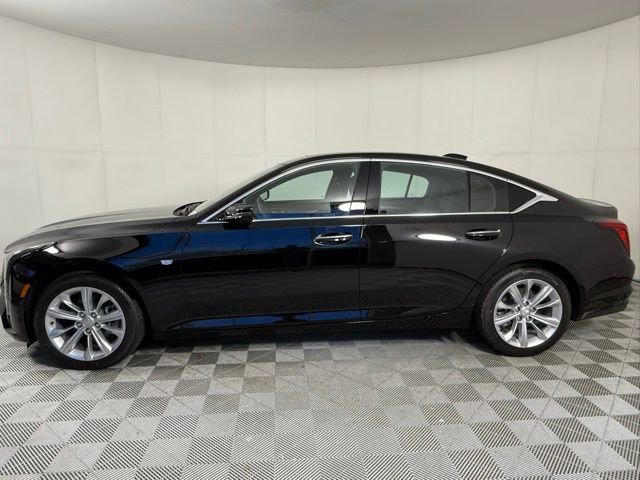 2025 Cadillac CT5 Premium Luxury photo 2