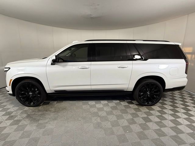 2025 Cadillac Escalade ESV Sport Platinum photo 3