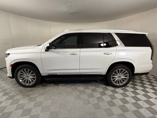 2021 Cadillac Escalade Premium Luxury photo 3